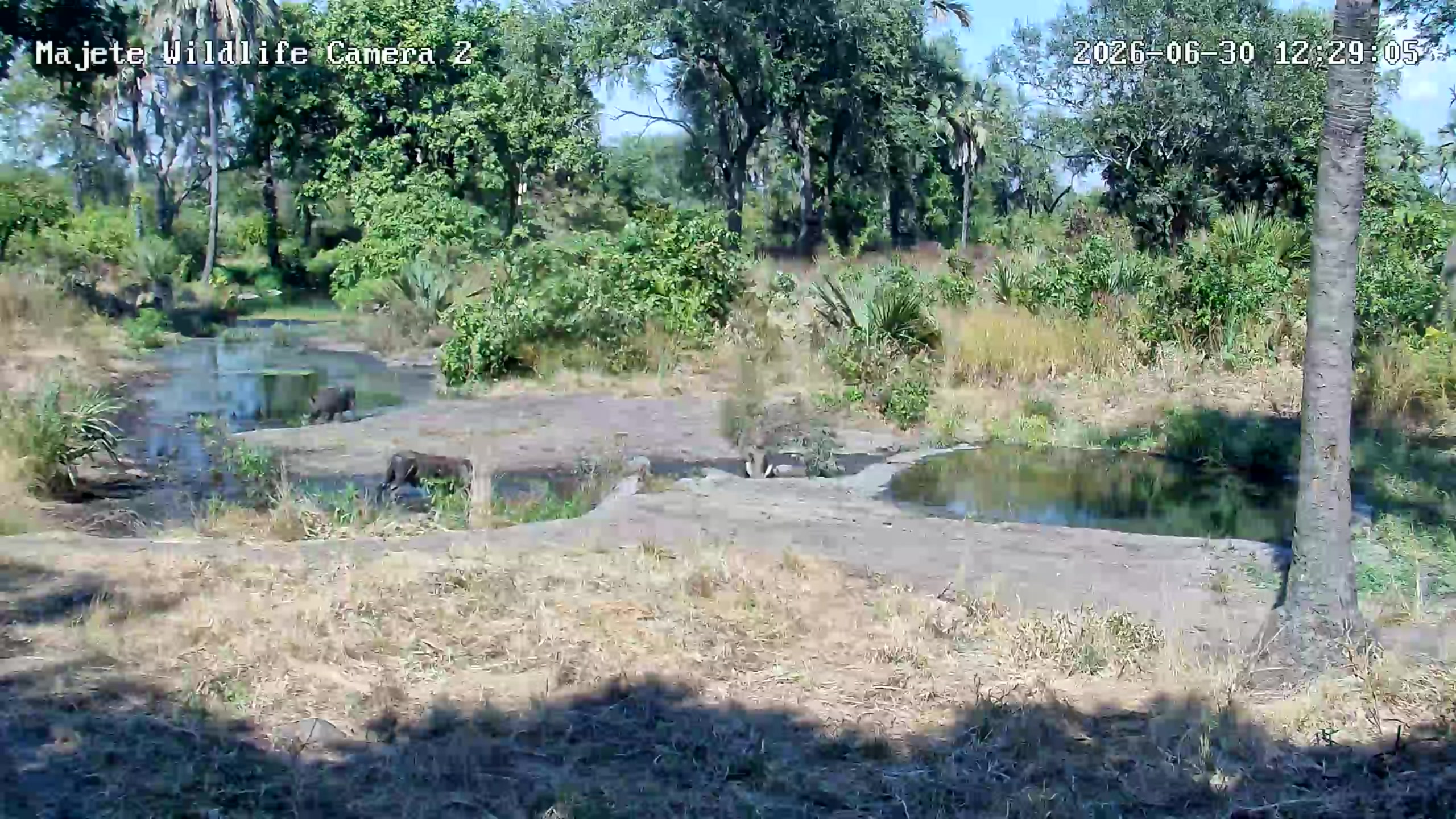 snapshot