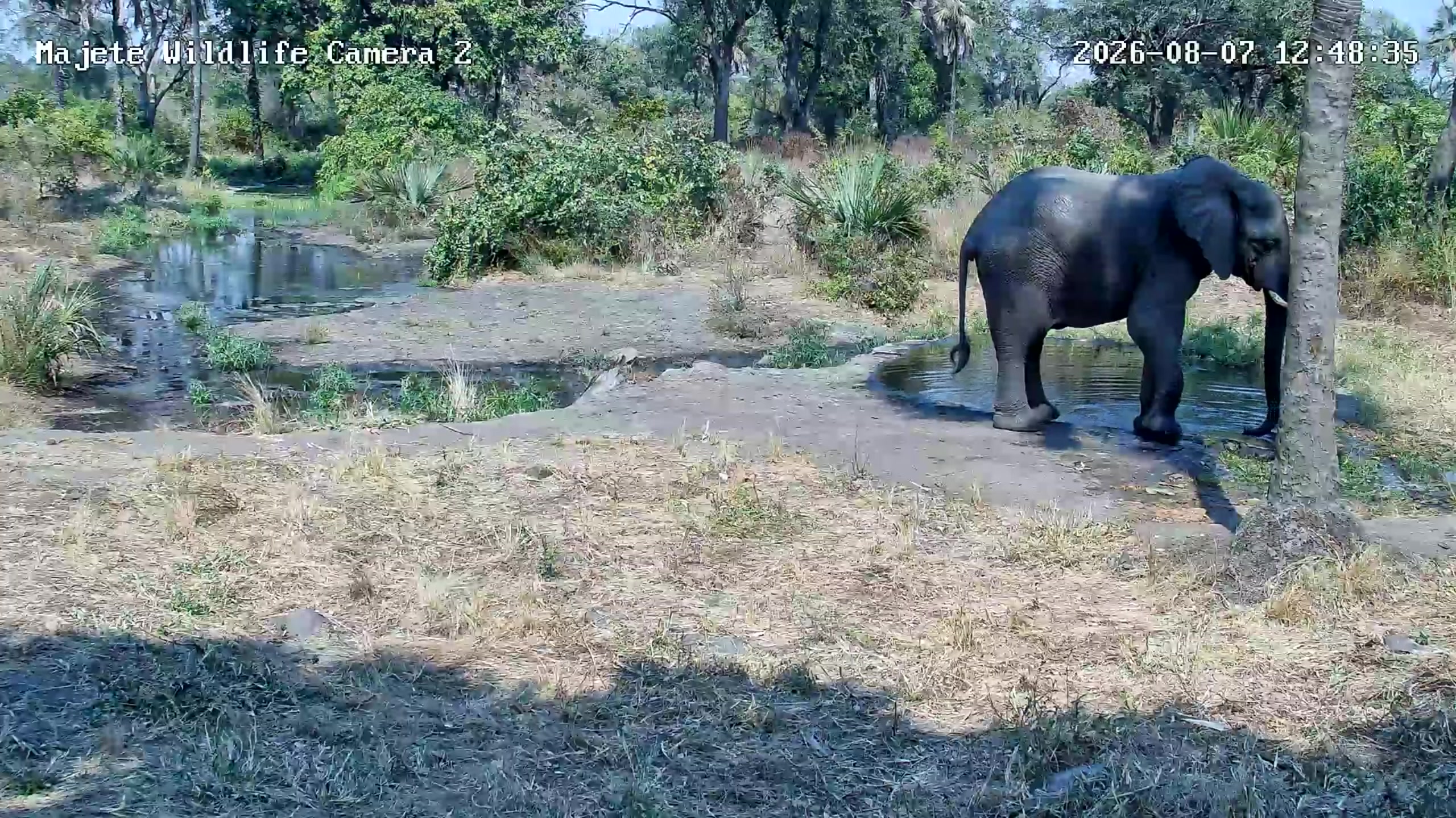 snapshot