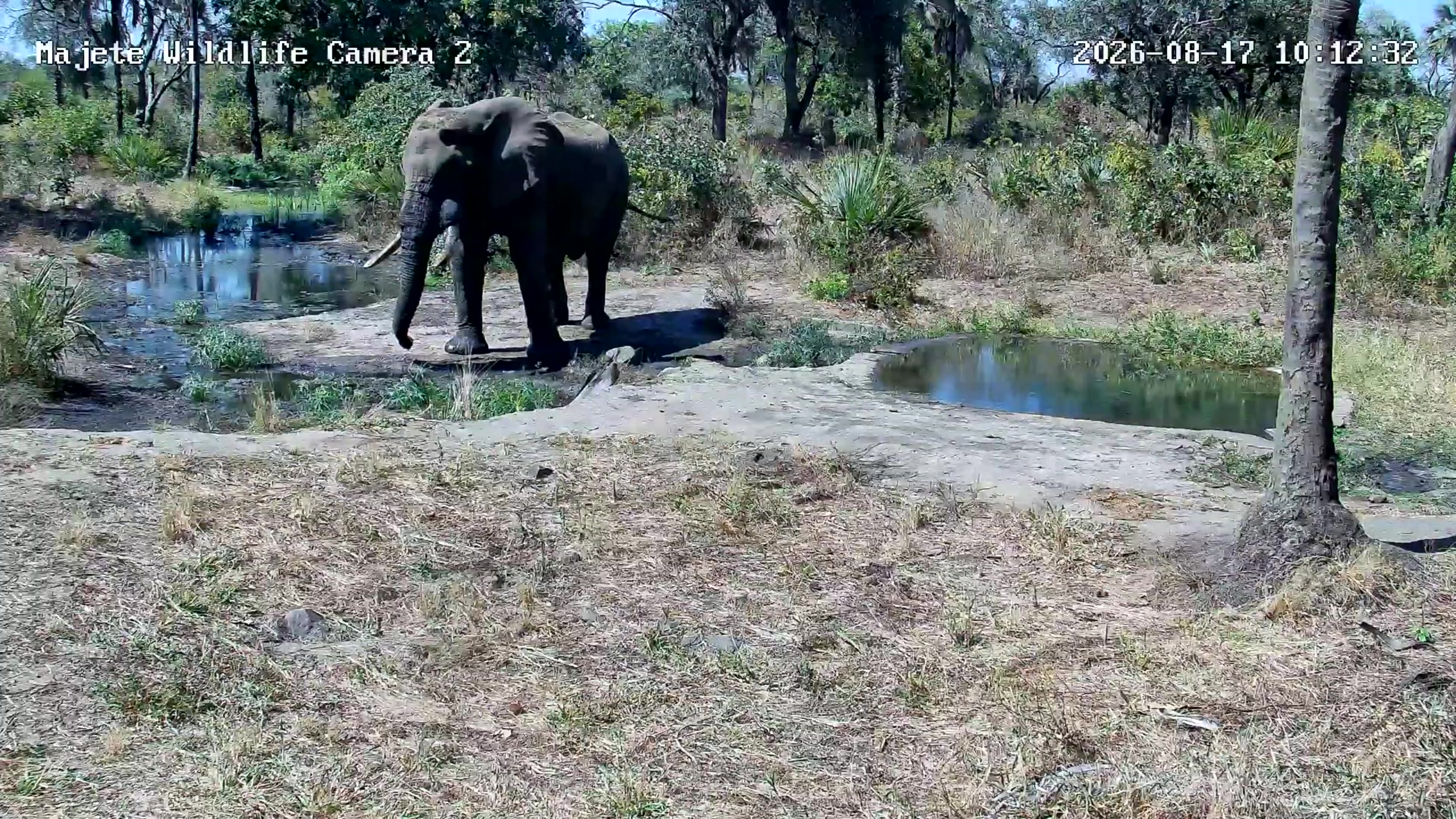 snapshot