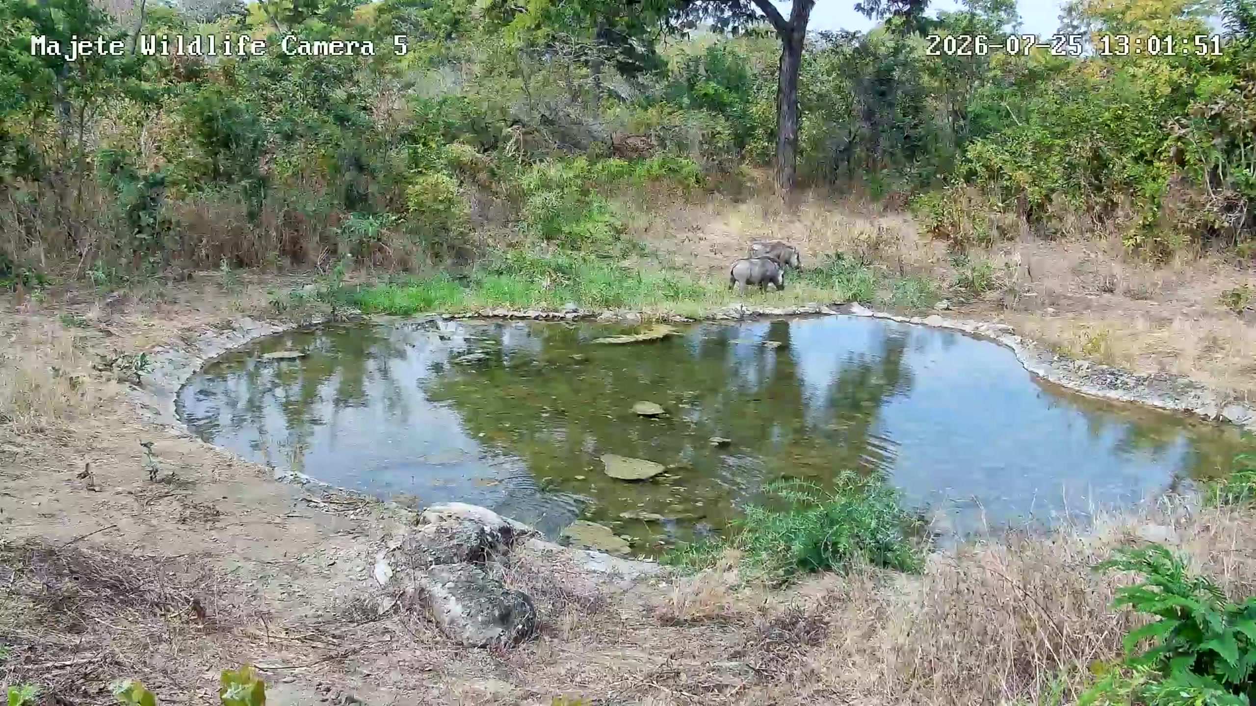 snapshot
