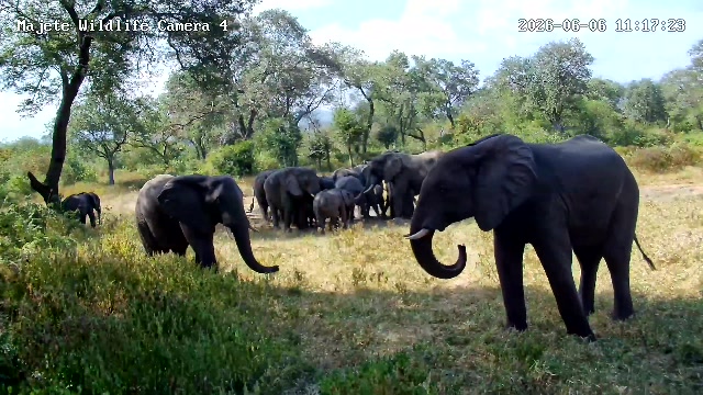 snapshot