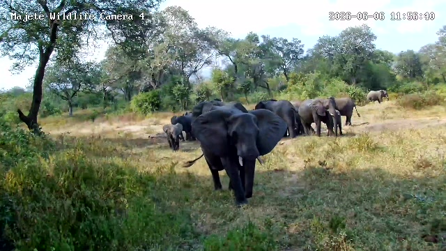 snapshot