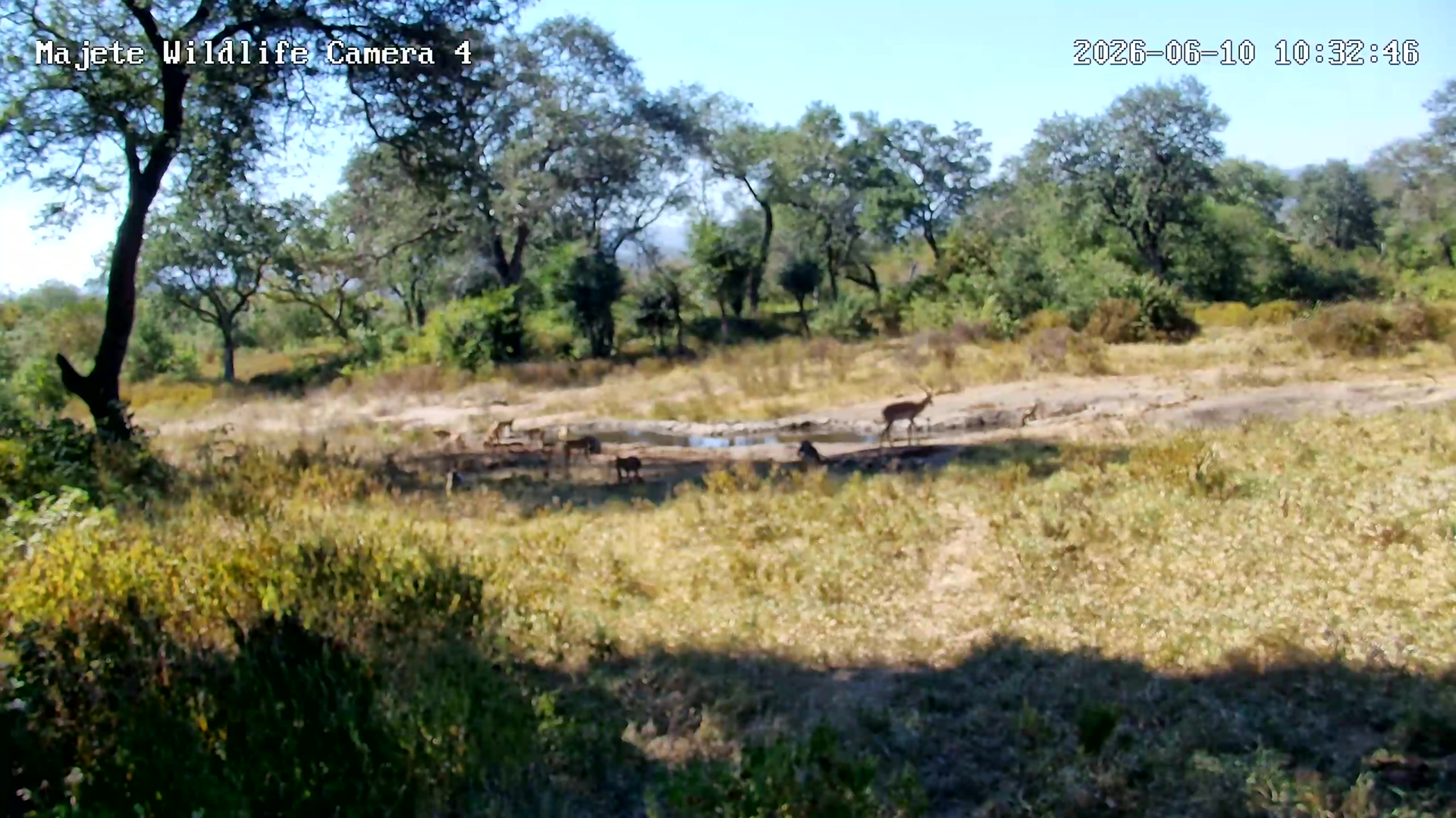 snapshot