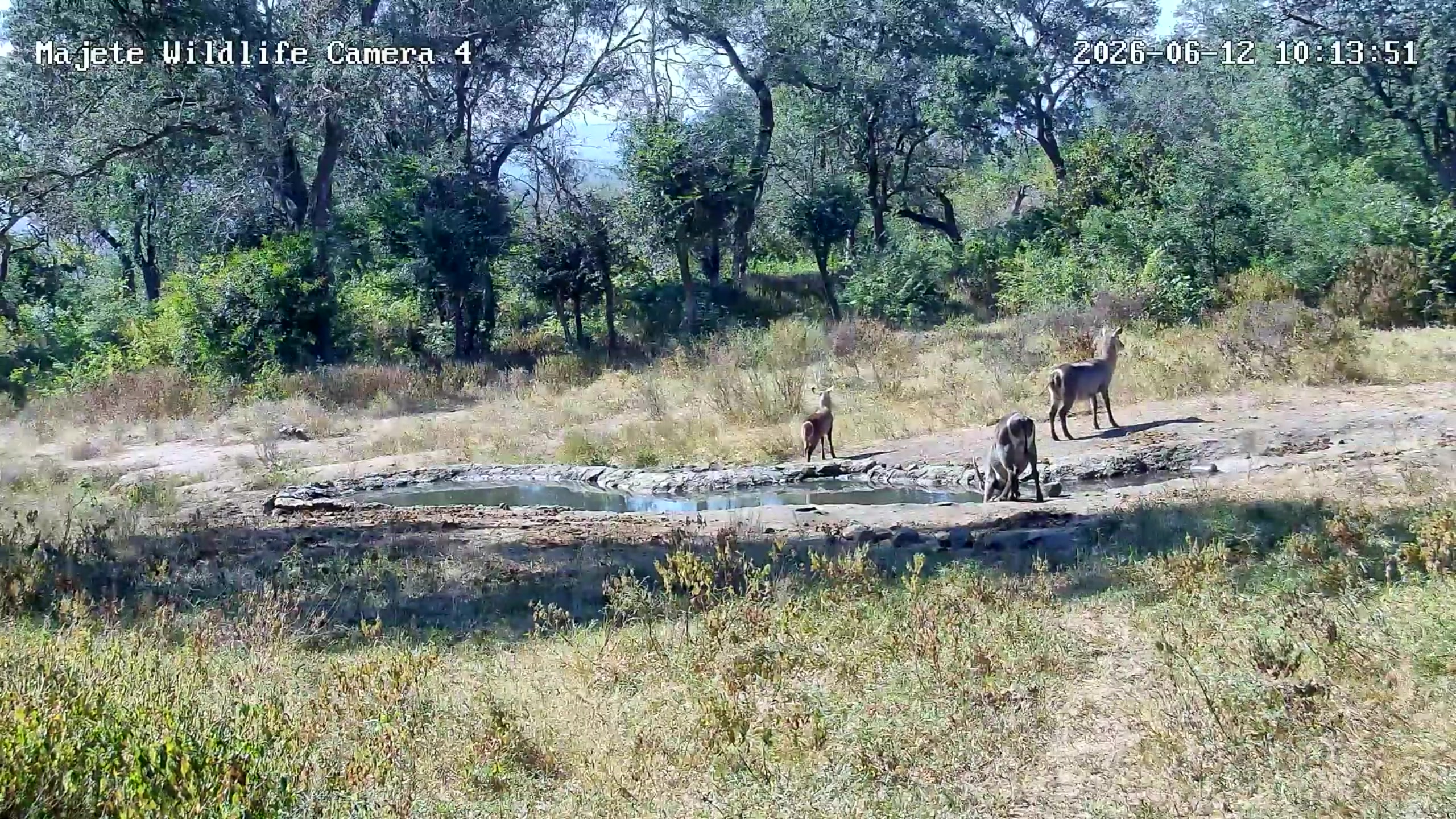 snapshot