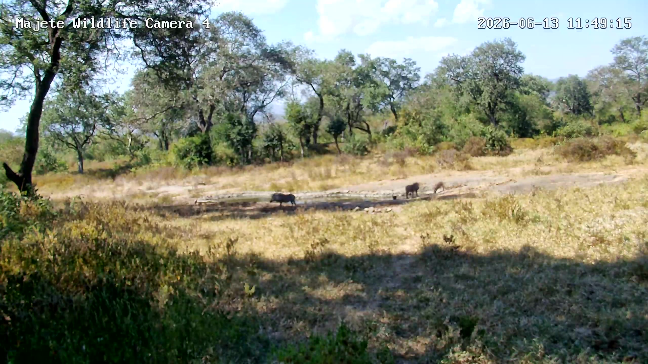 snapshot