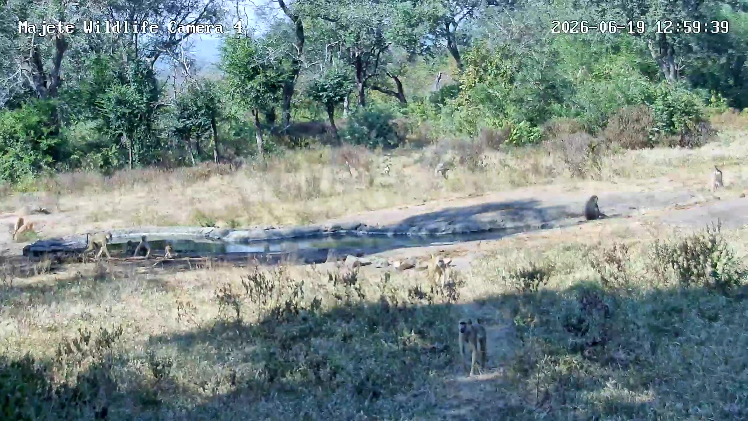 snapshot