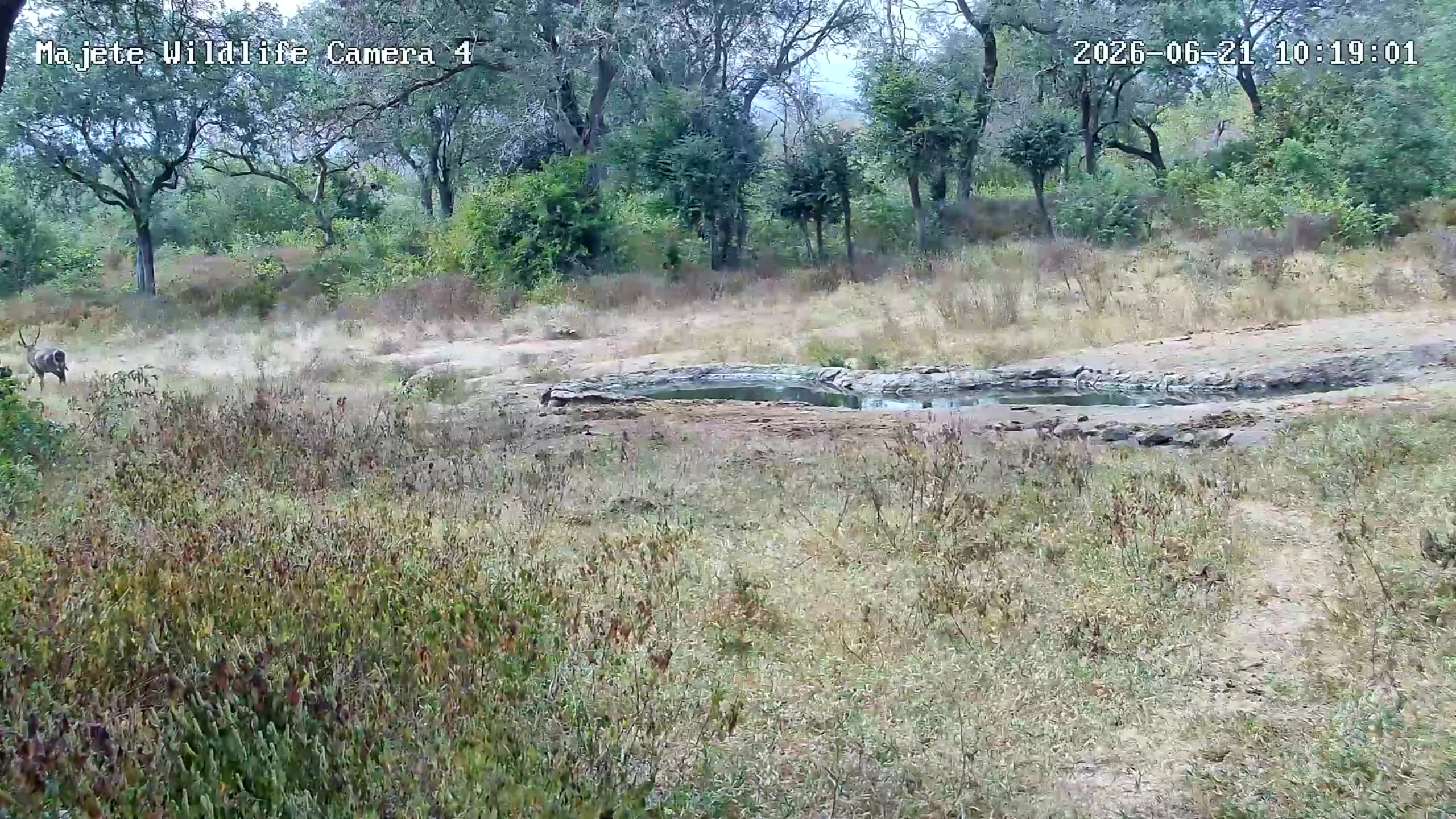 snapshot