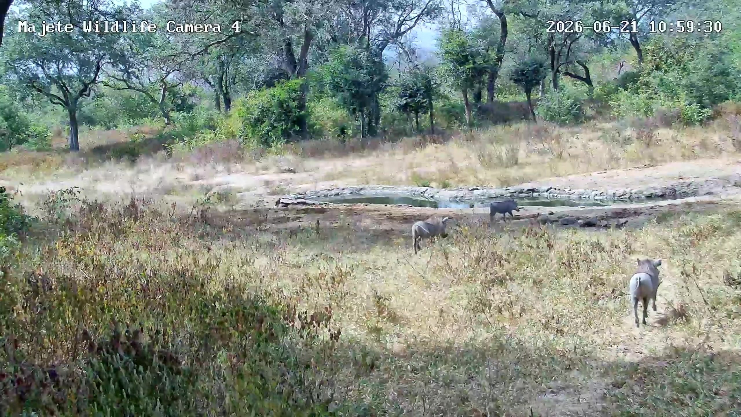 snapshot