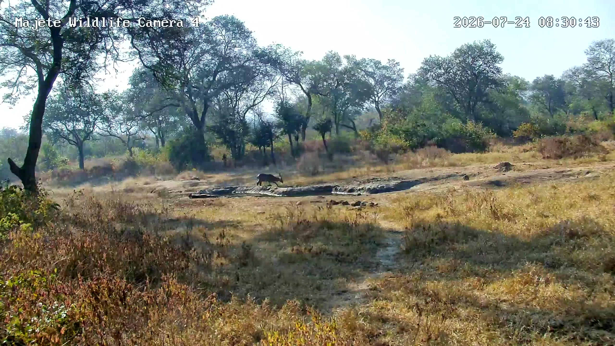 snapshot