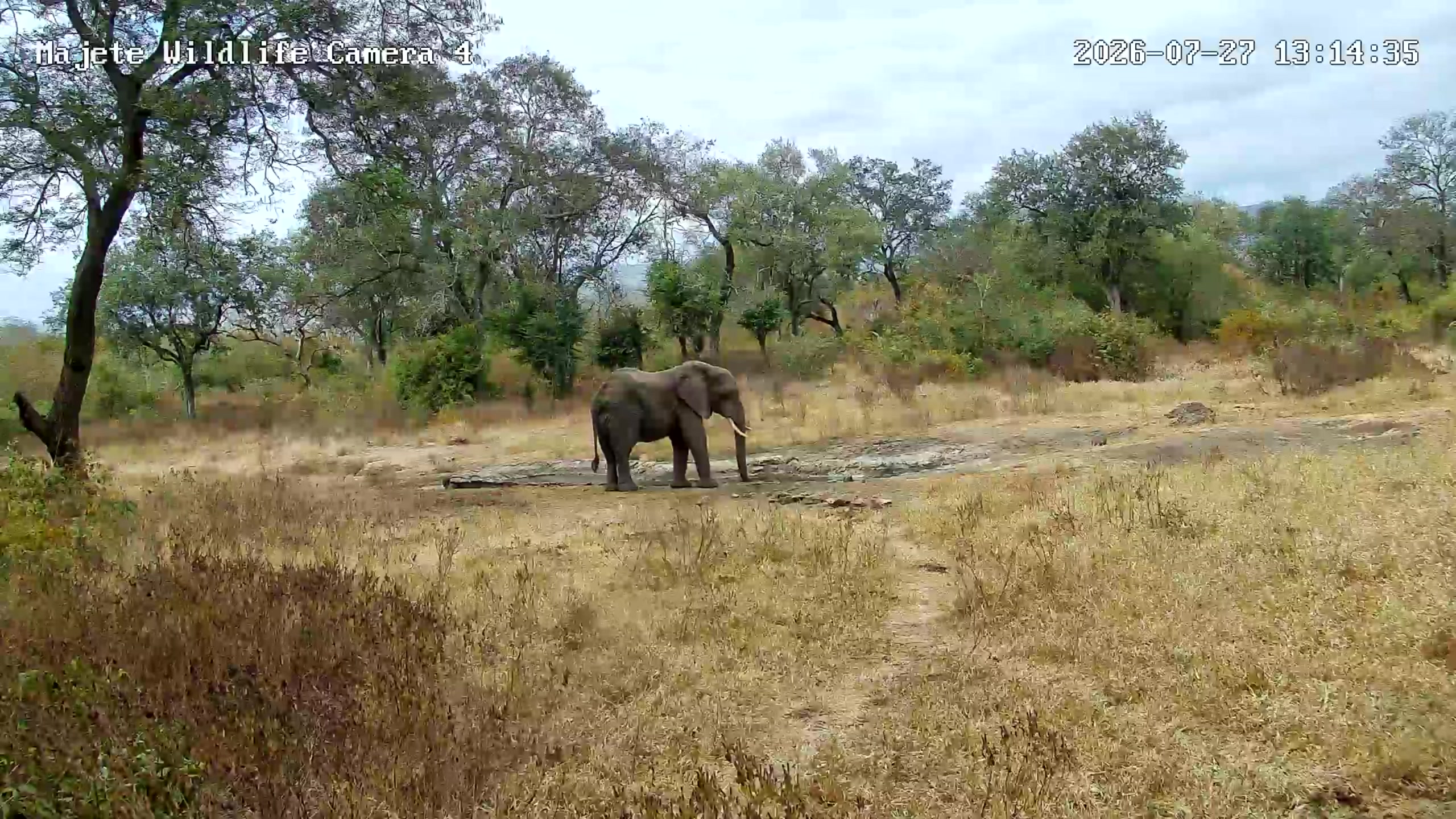 snapshot