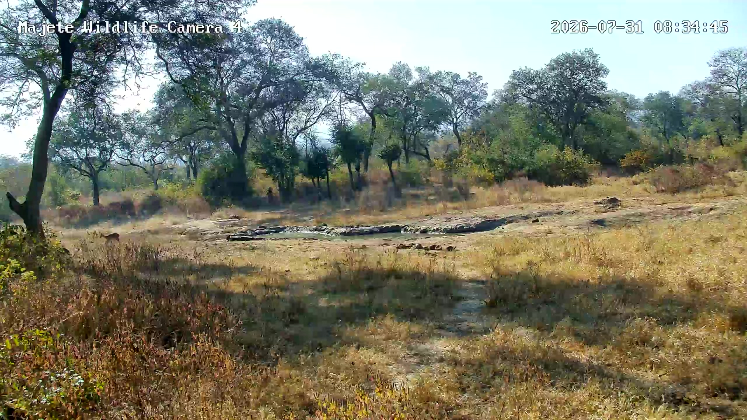snapshot