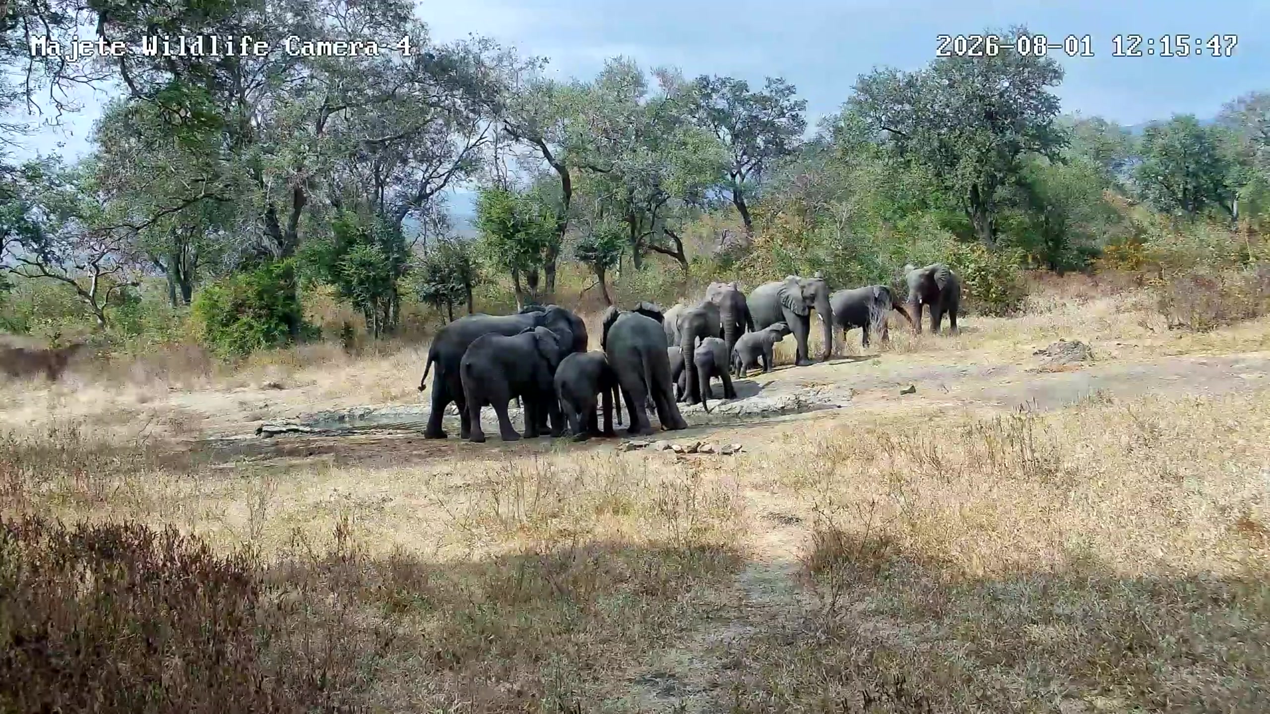 snapshot