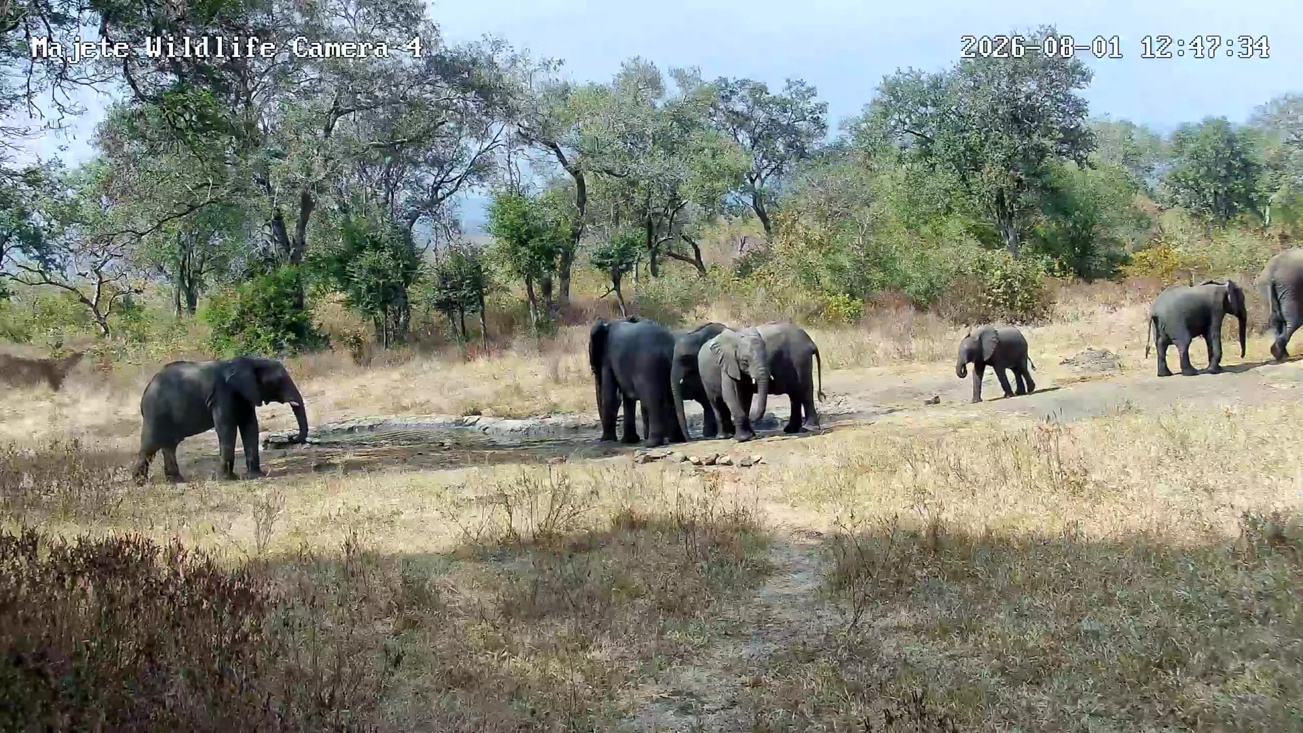 snapshot