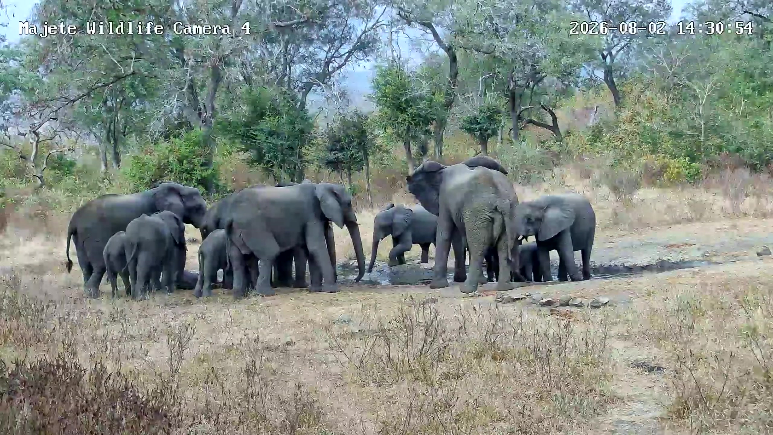 snapshot