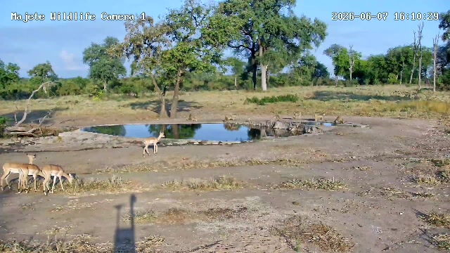 snapshot