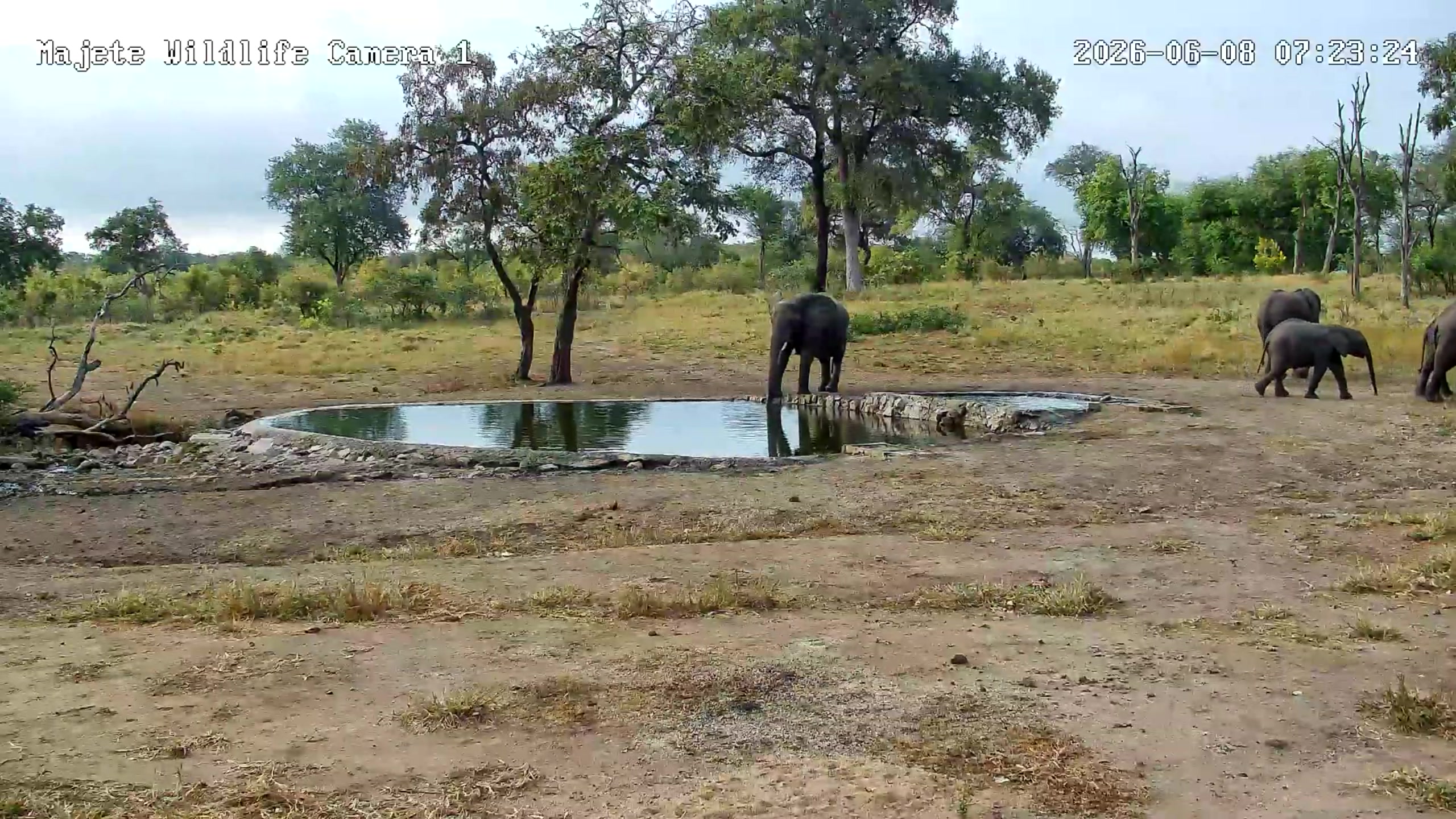 snapshot