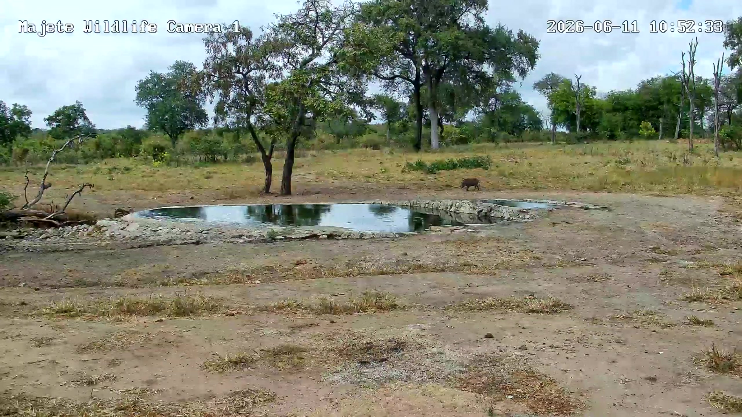 snapshot