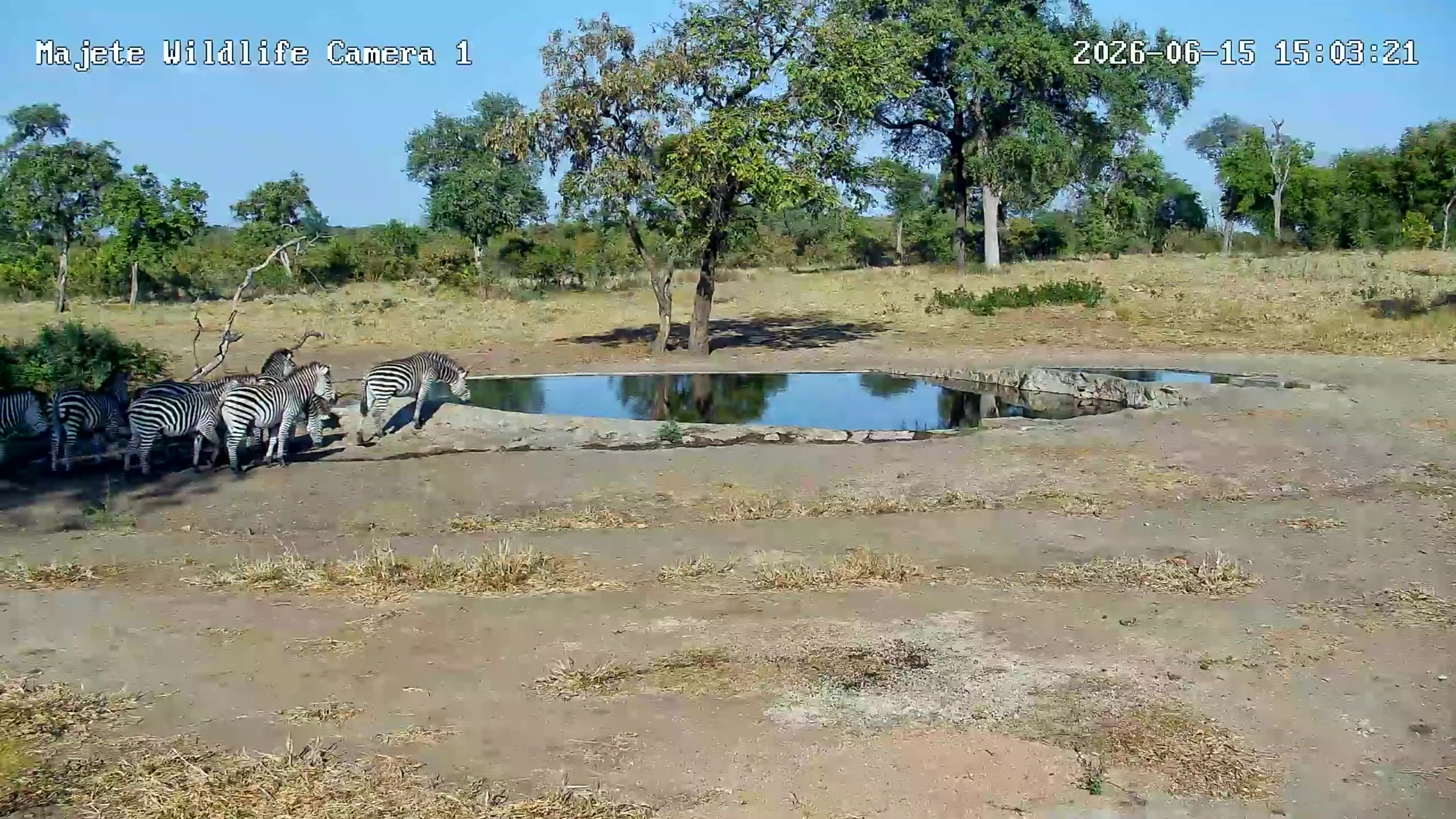snapshot