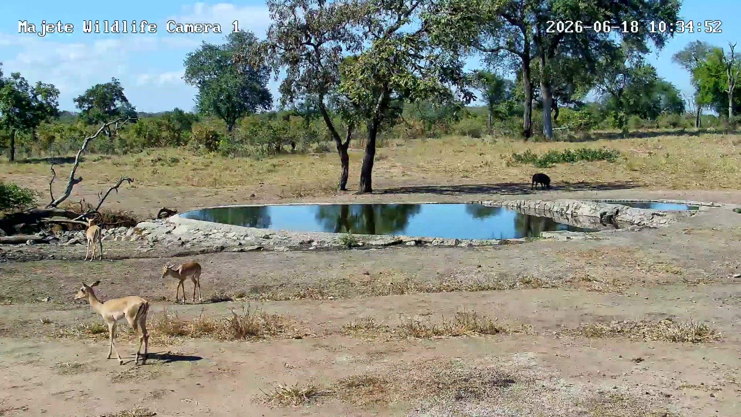 snapshot