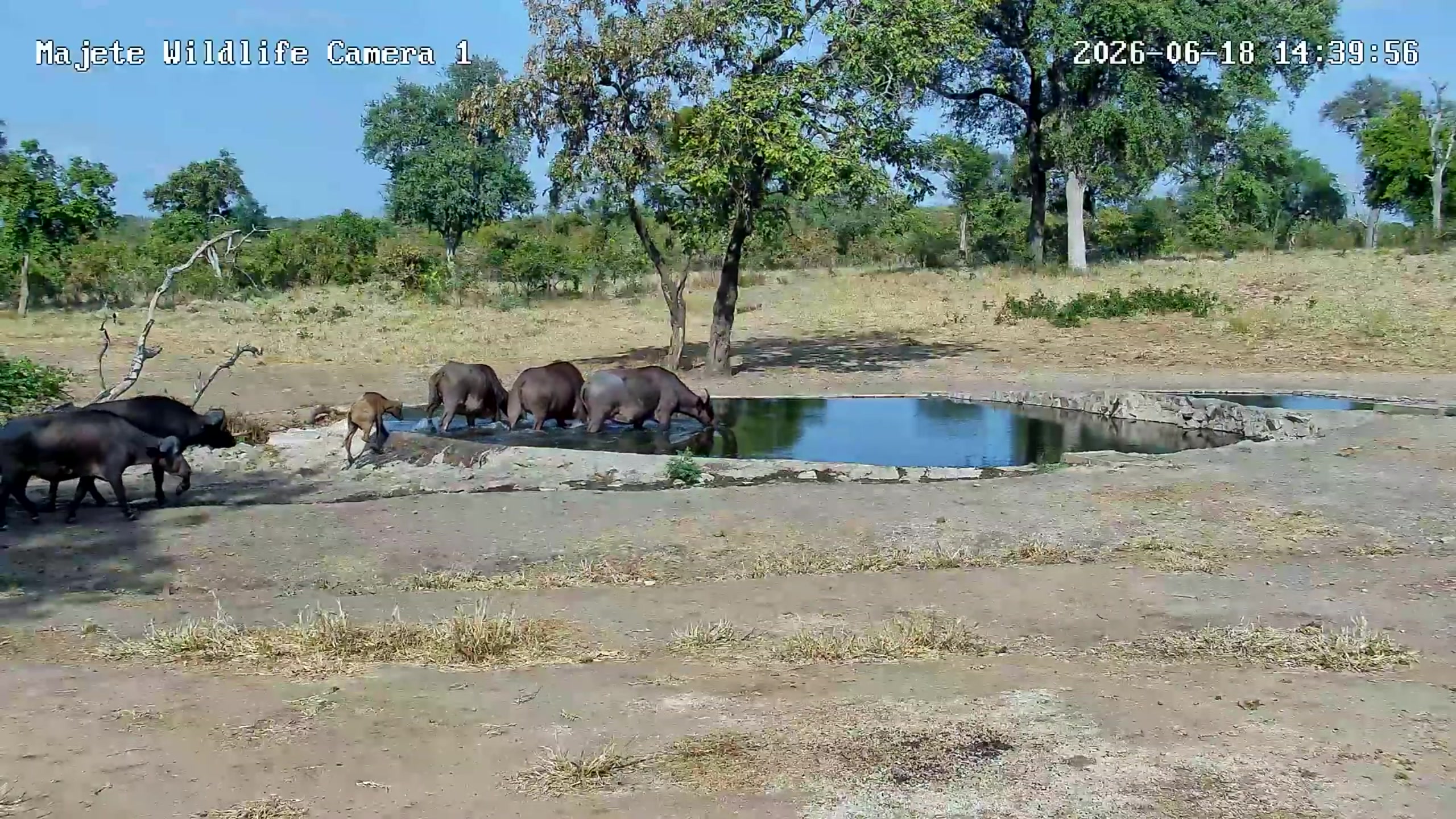 snapshot