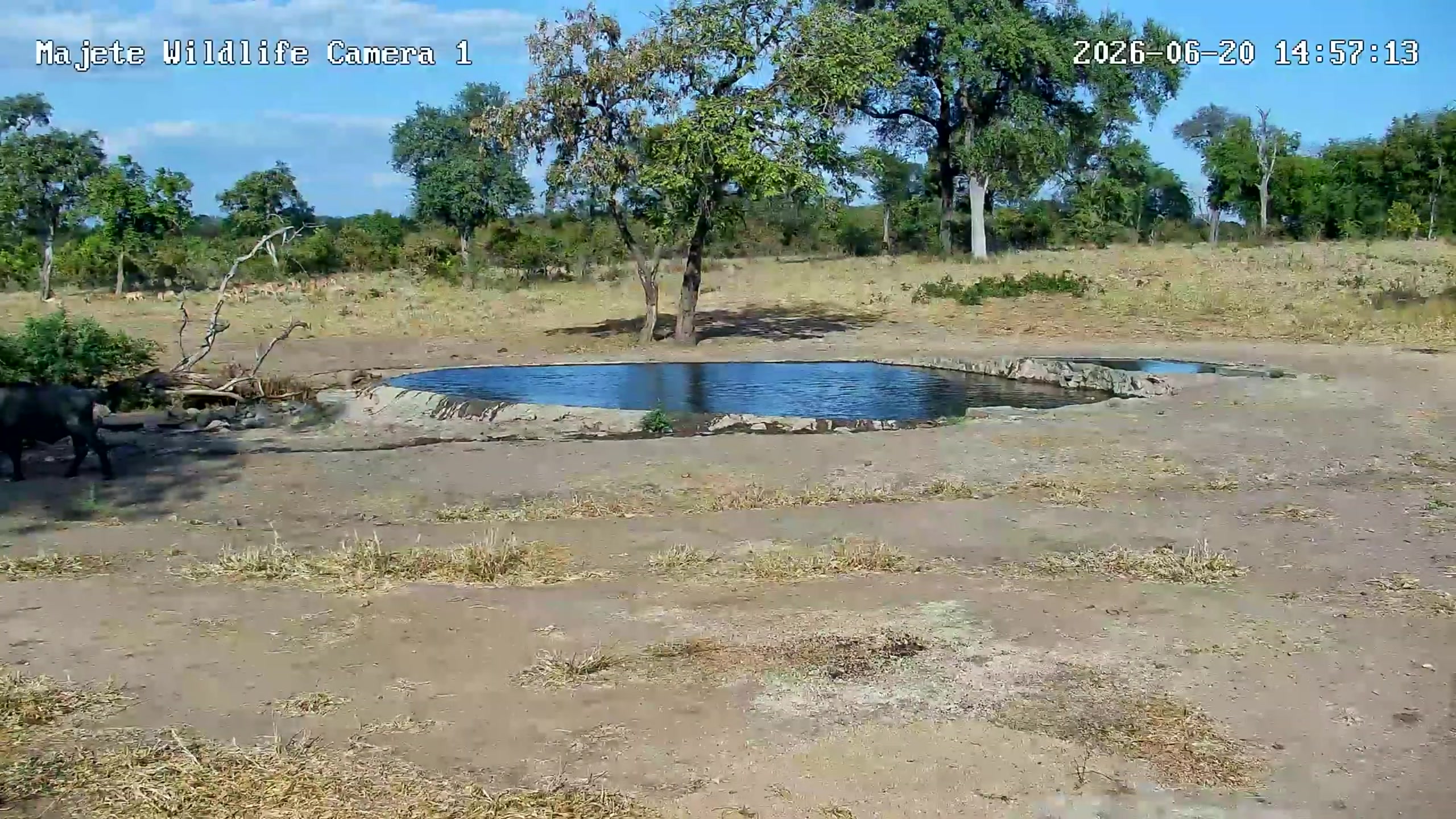 snapshot