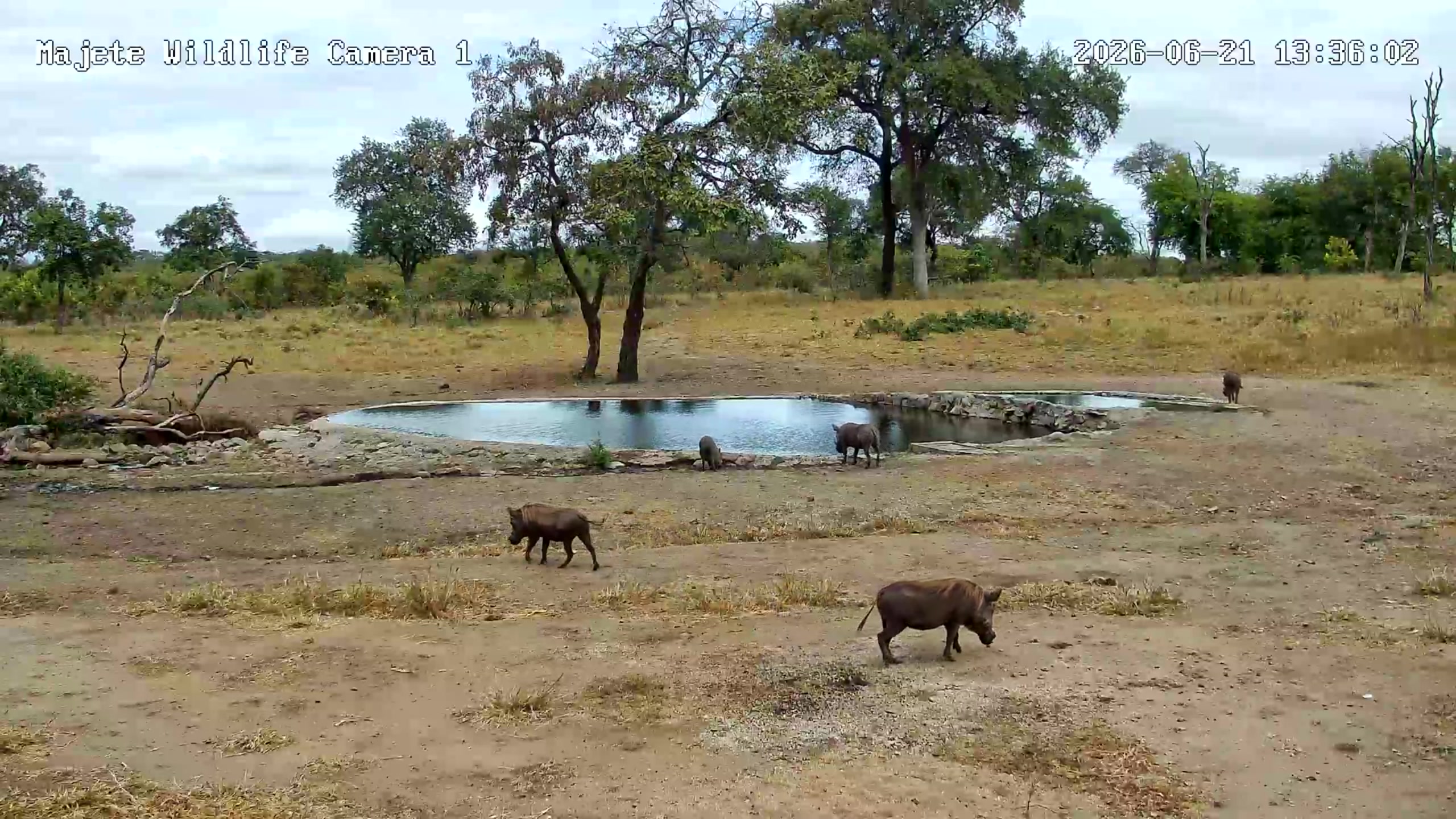 snapshot