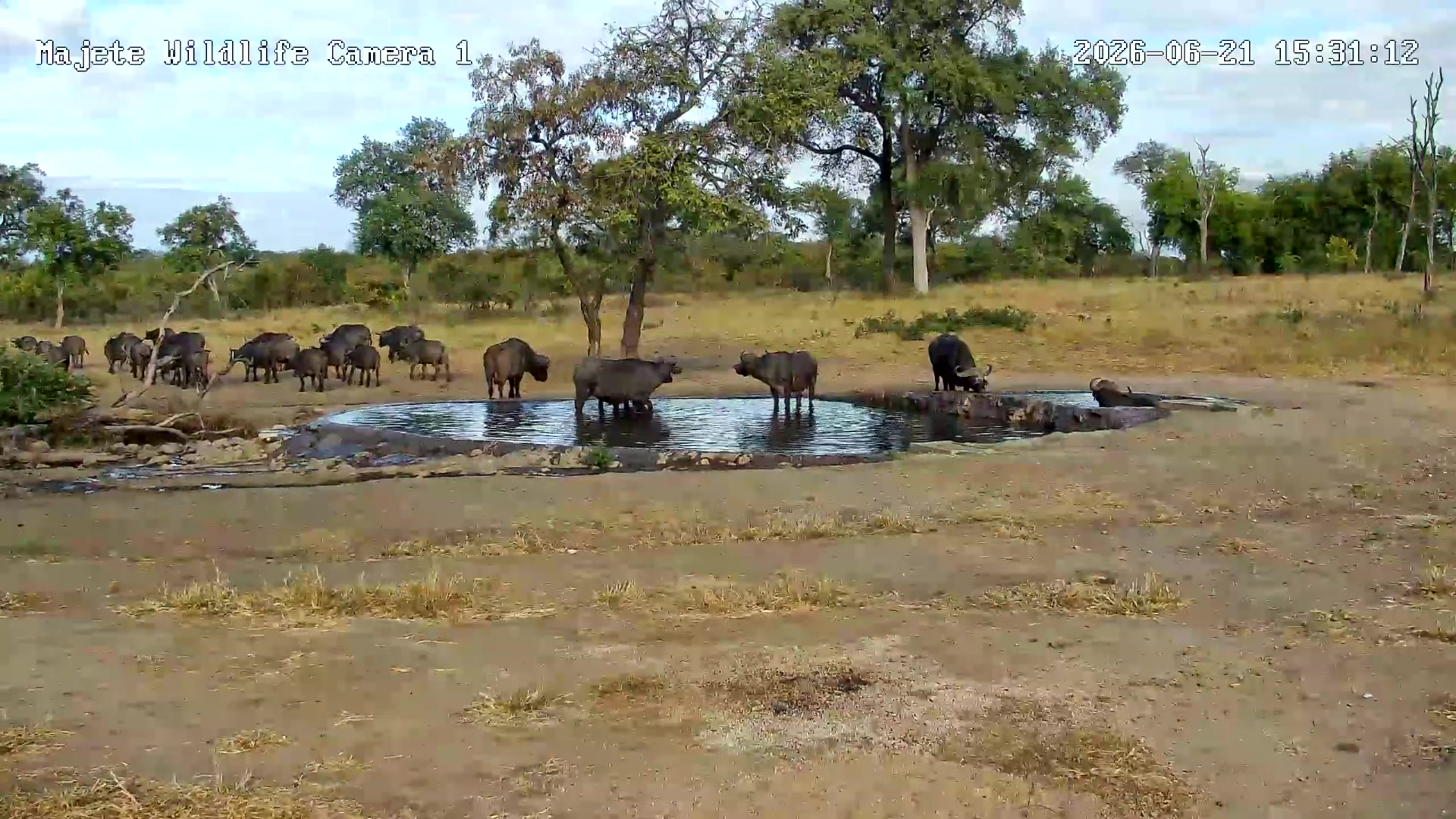 snapshot