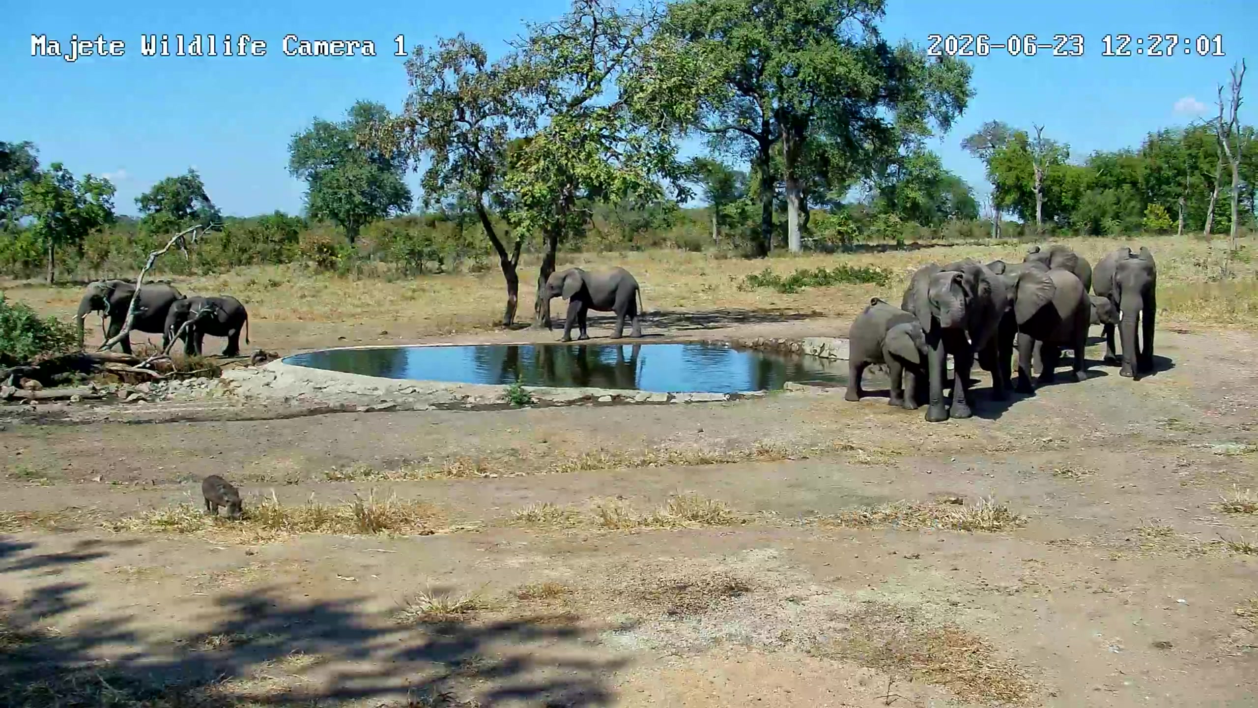 snapshot