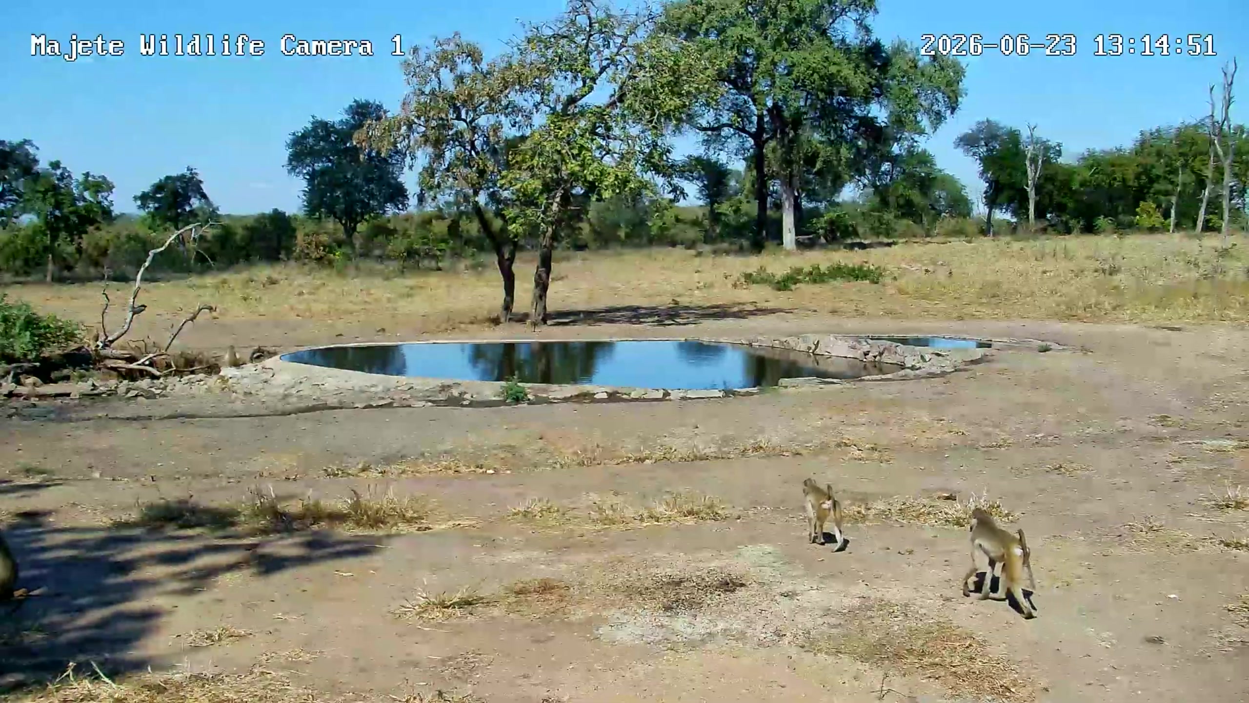 snapshot