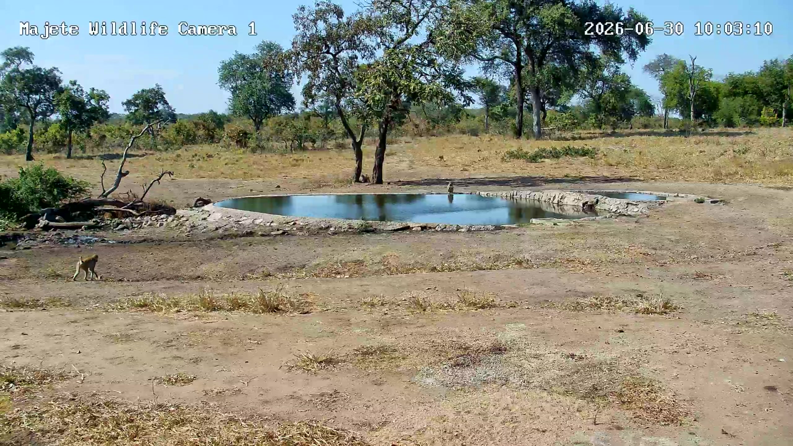 snapshot