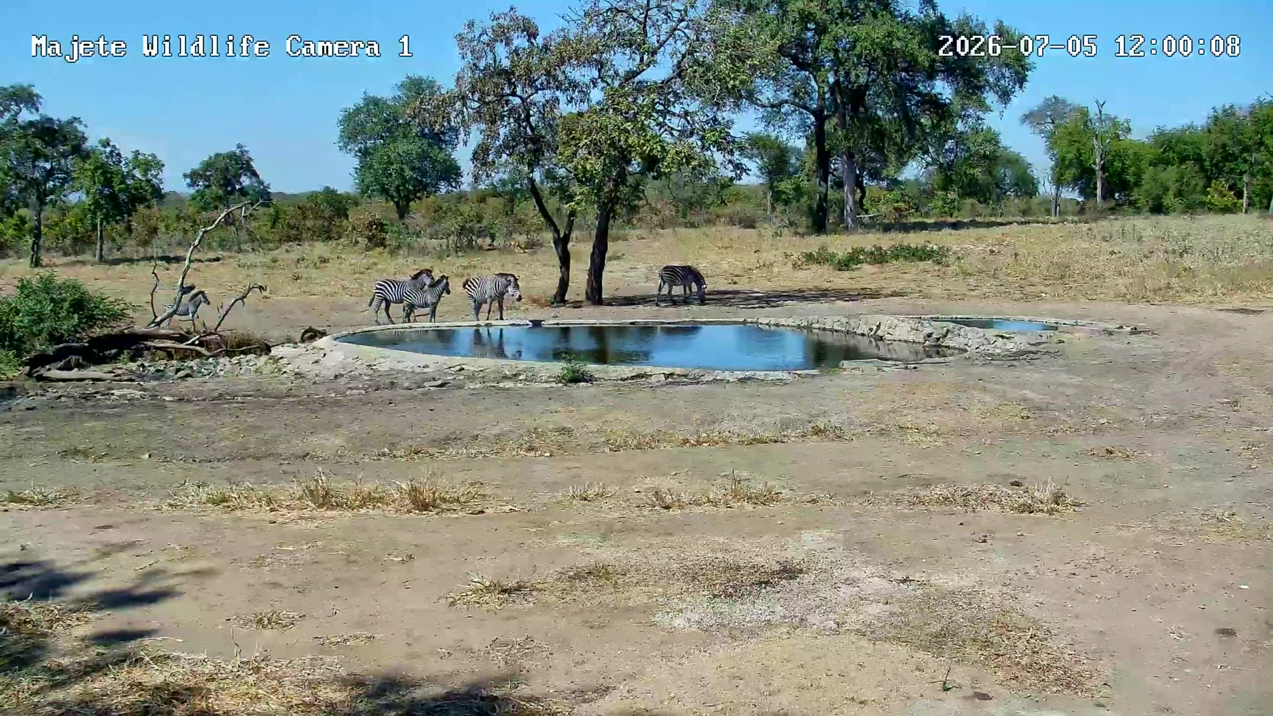snapshot