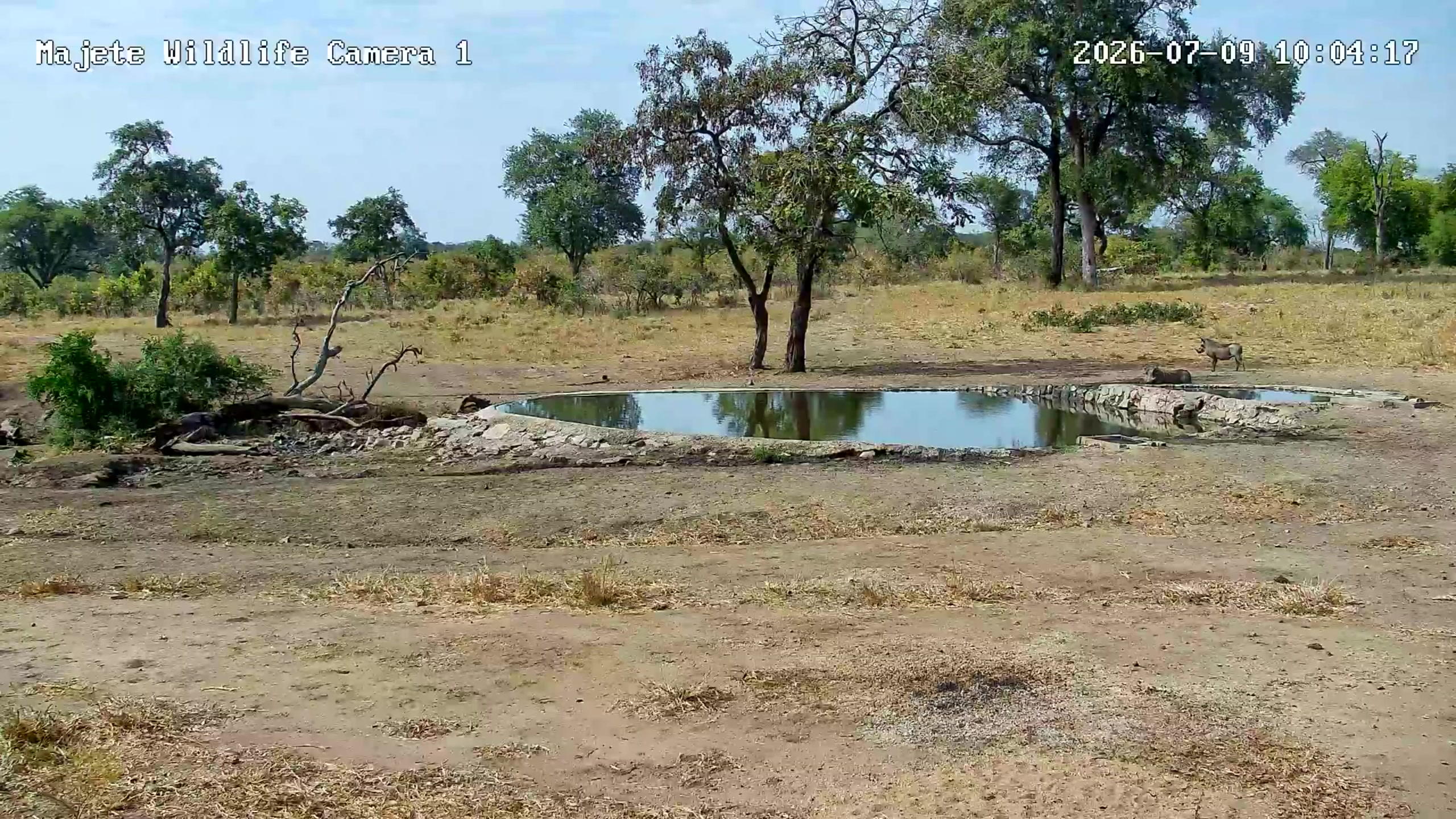 snapshot