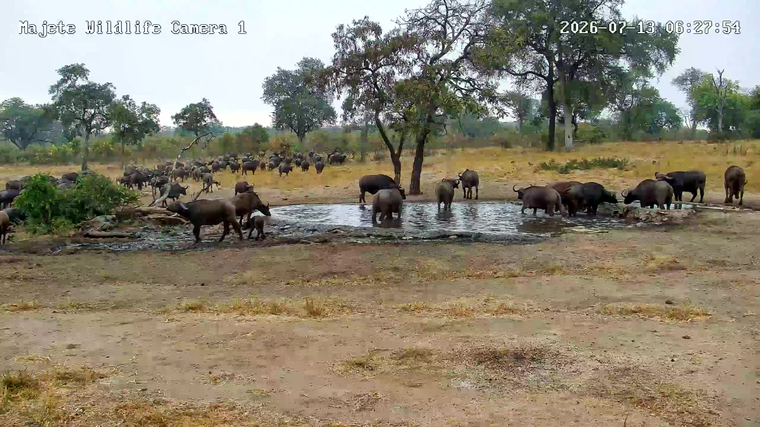 snapshot