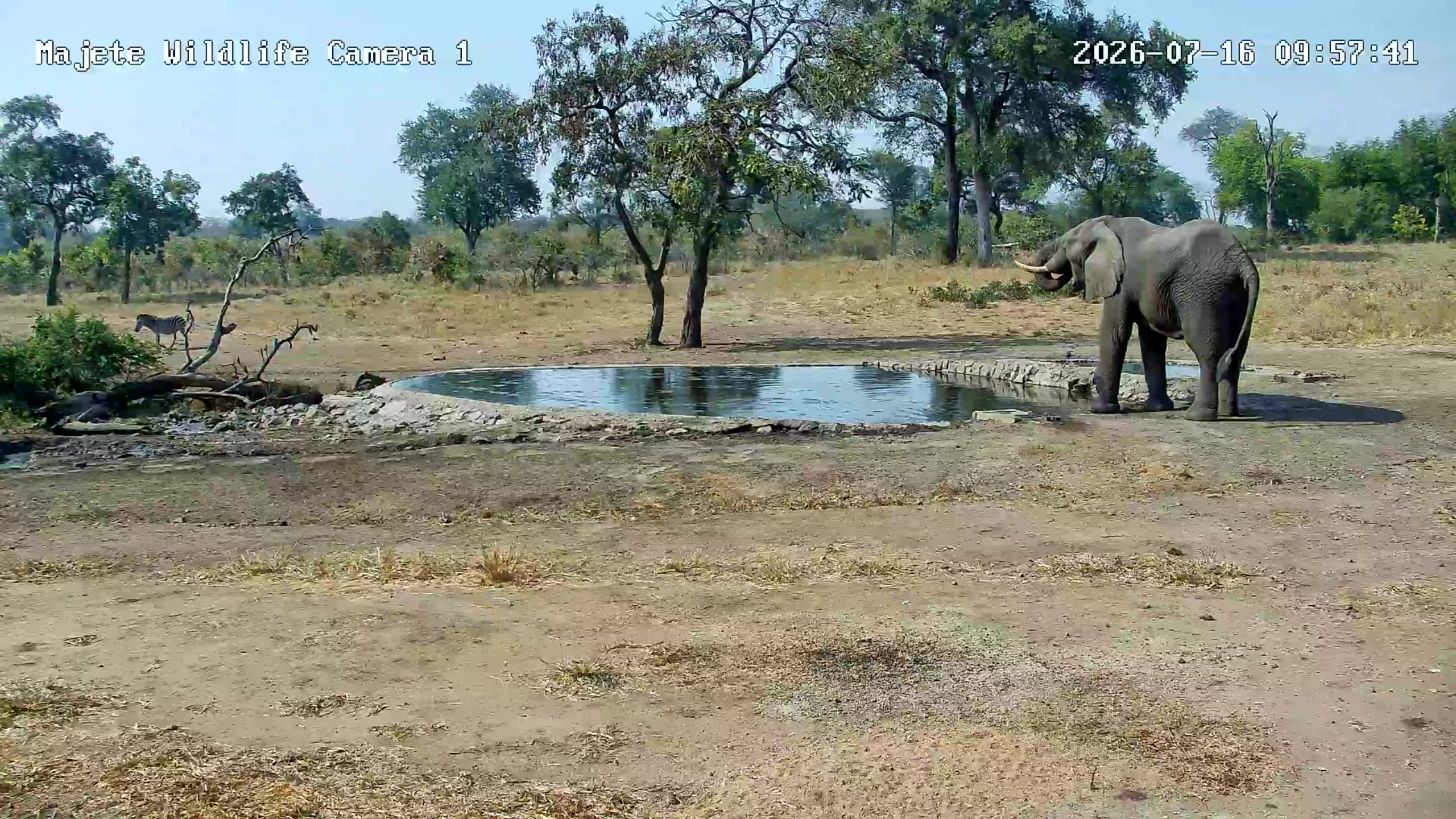 snapshot