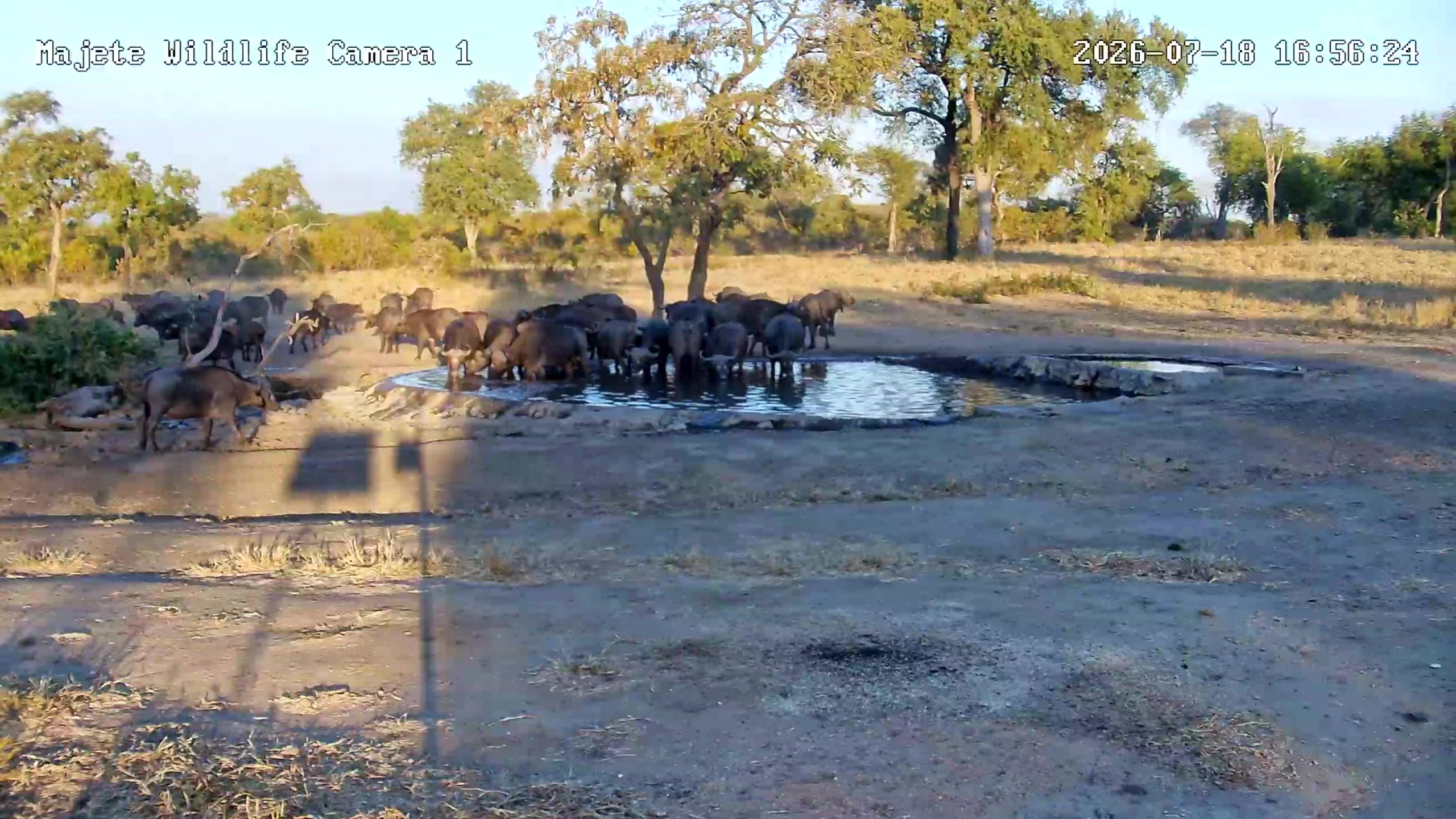 snapshot