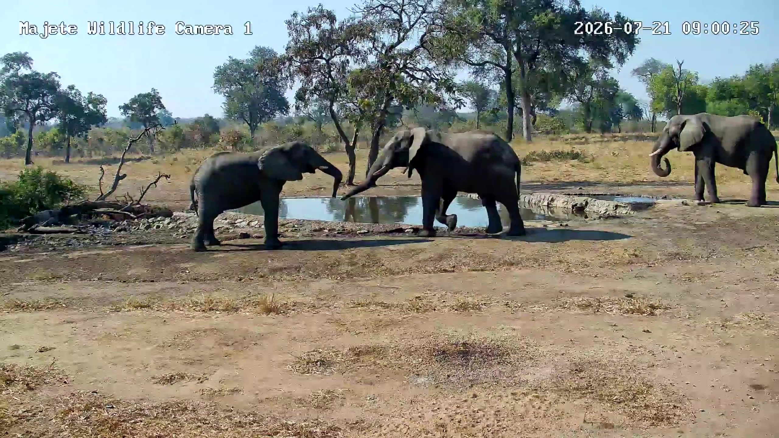 snapshot