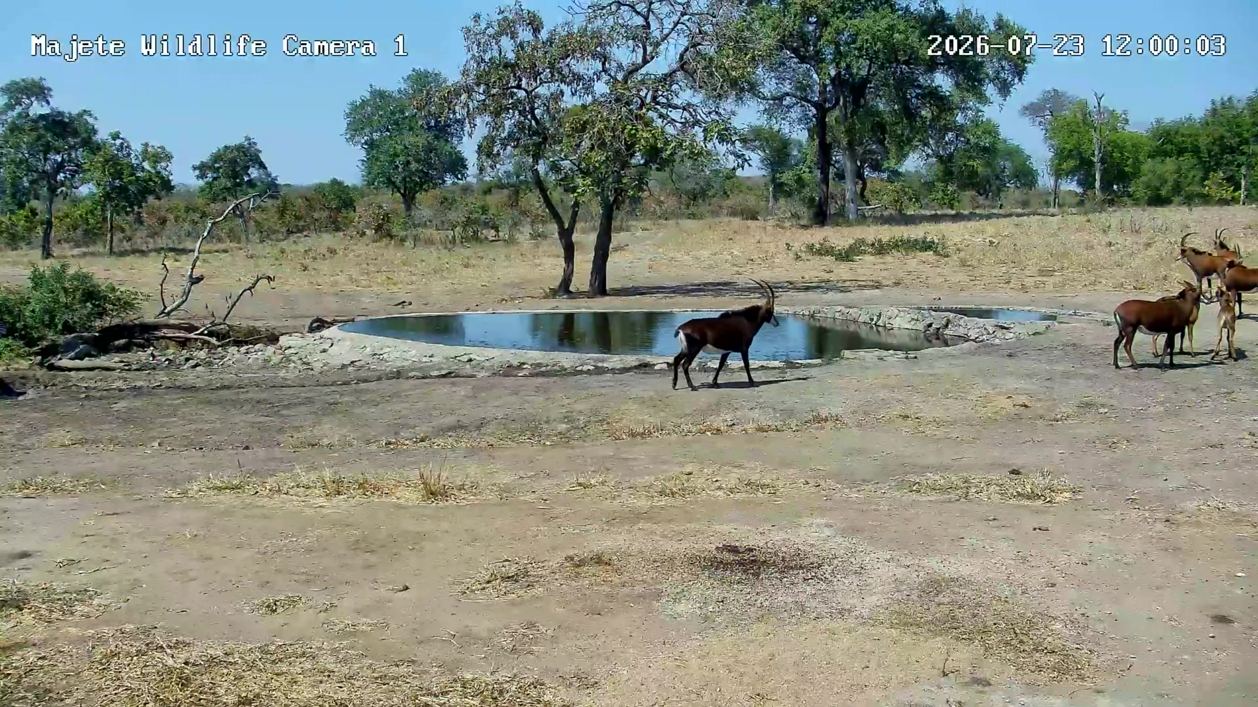 snapshot