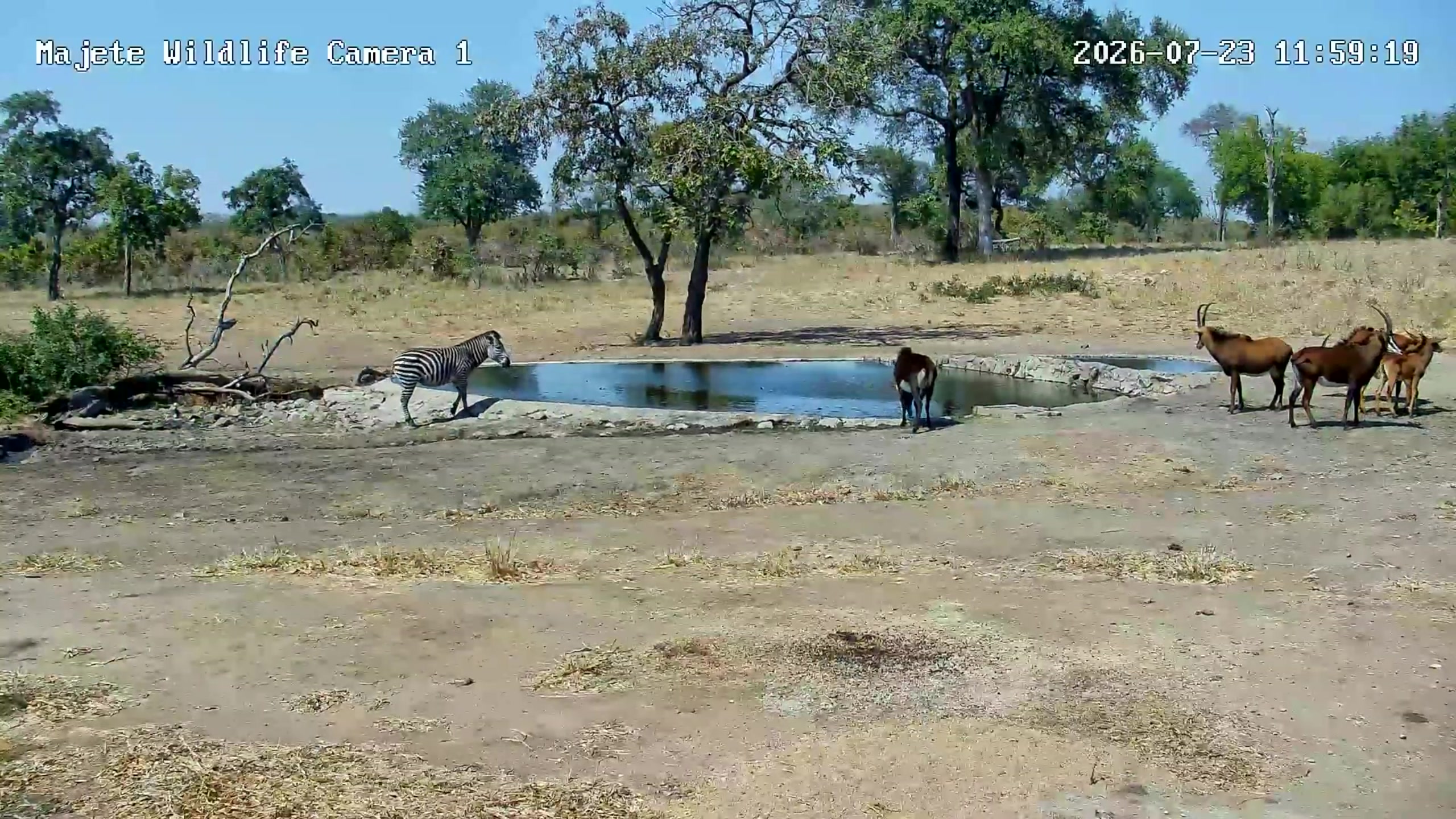 snapshot