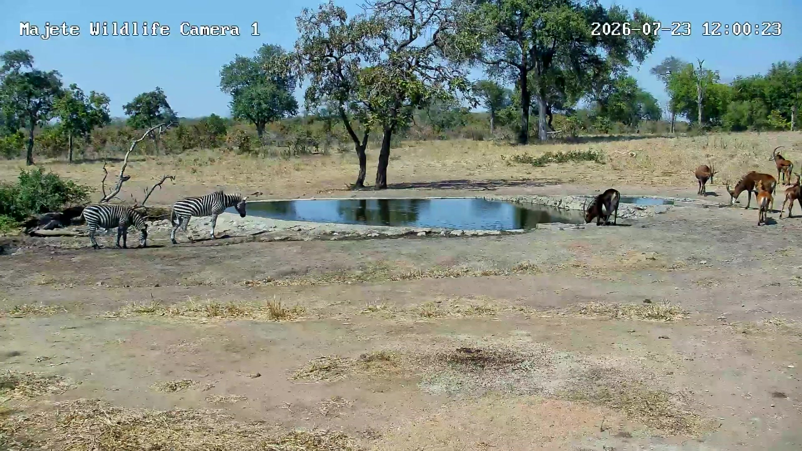 snapshot