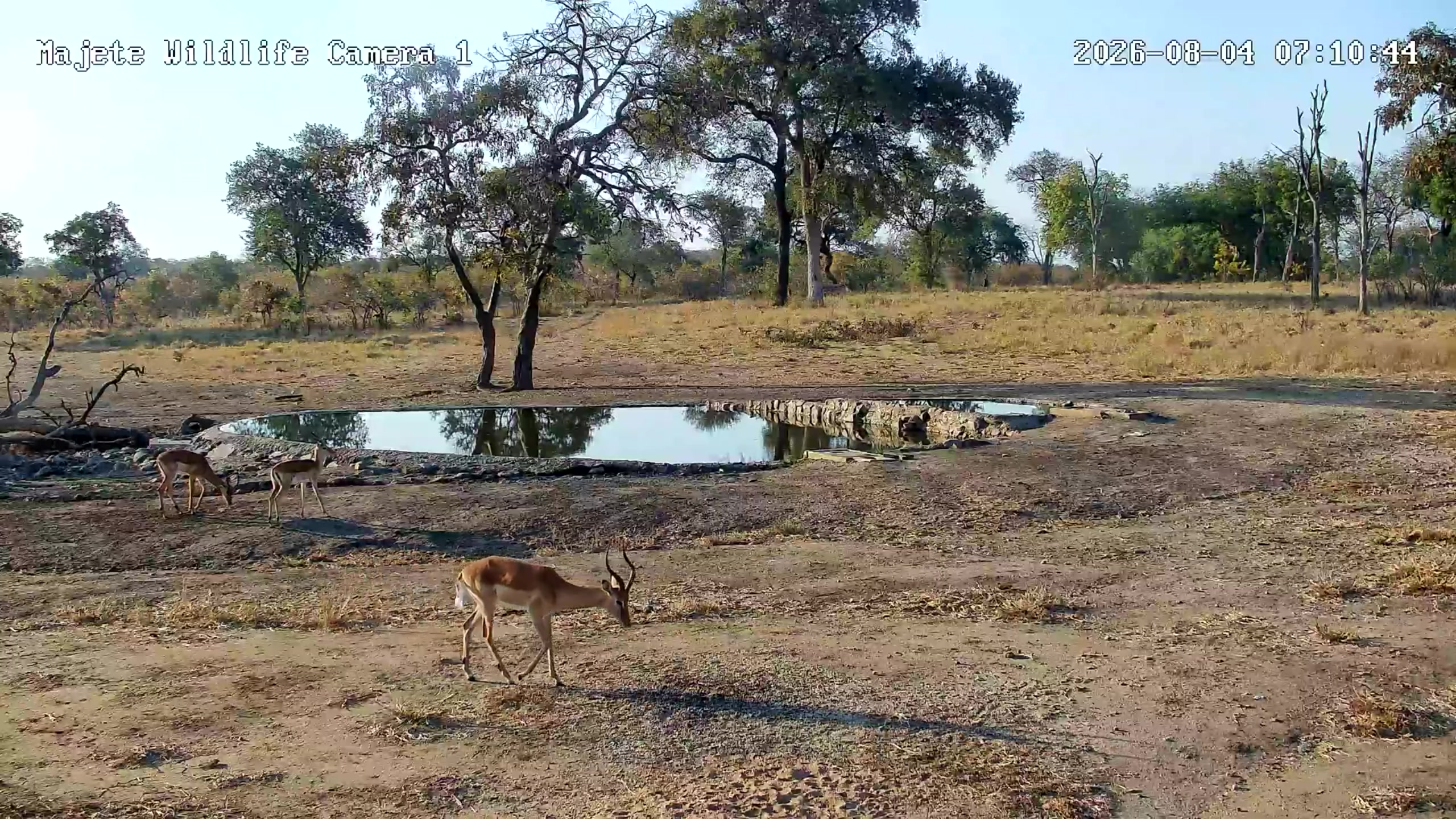 snapshot