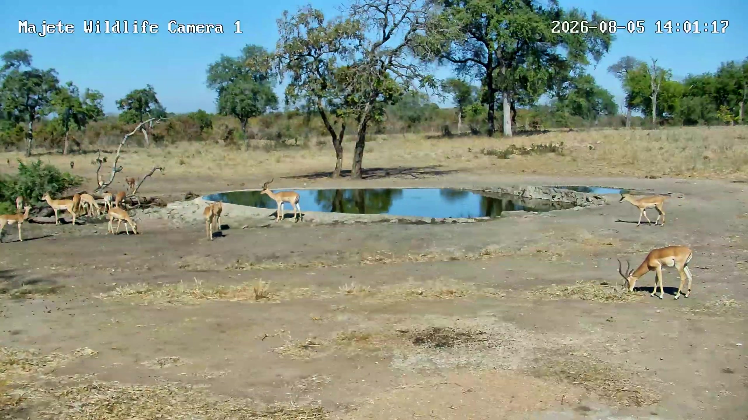 snapshot