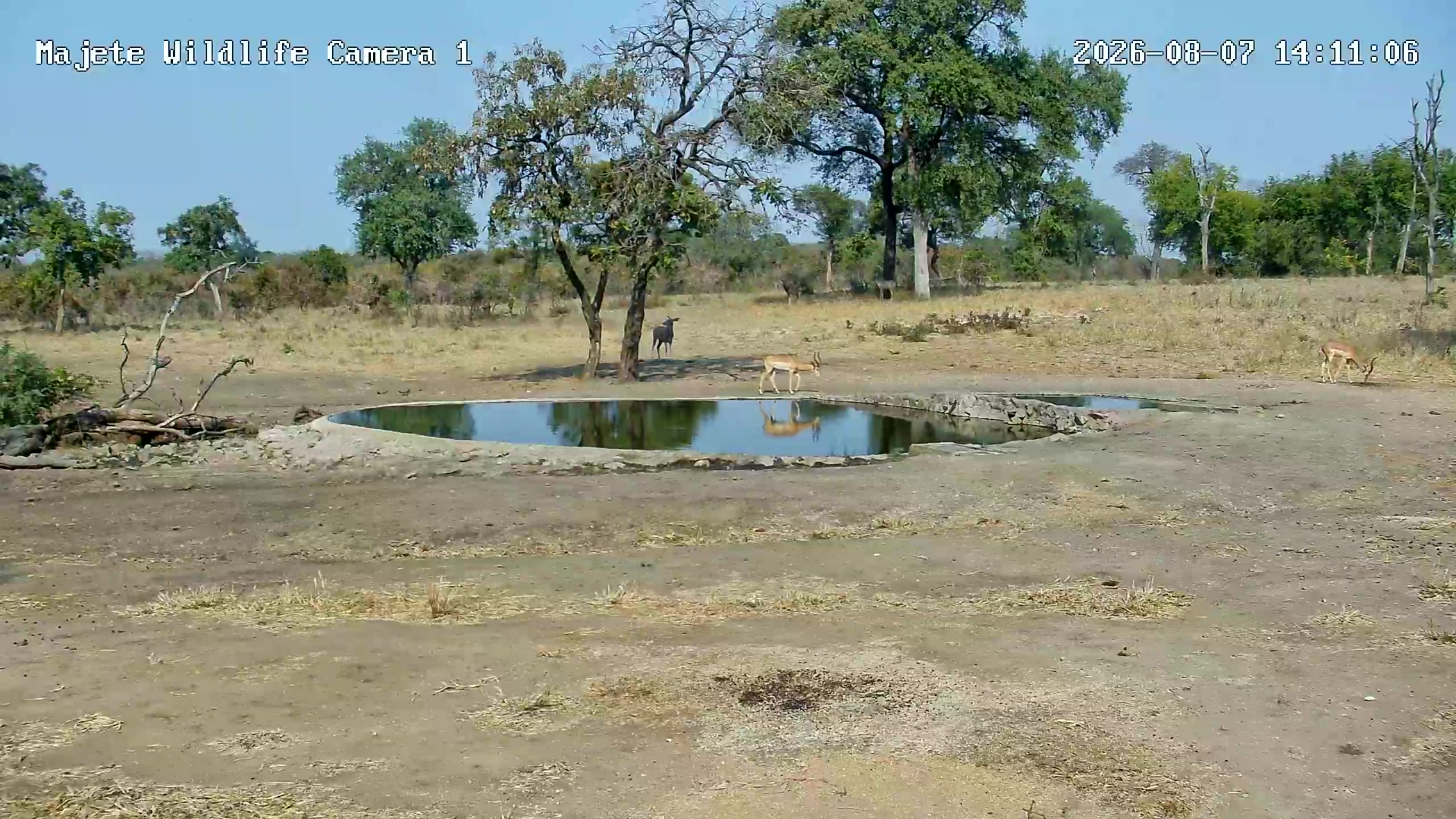 snapshot