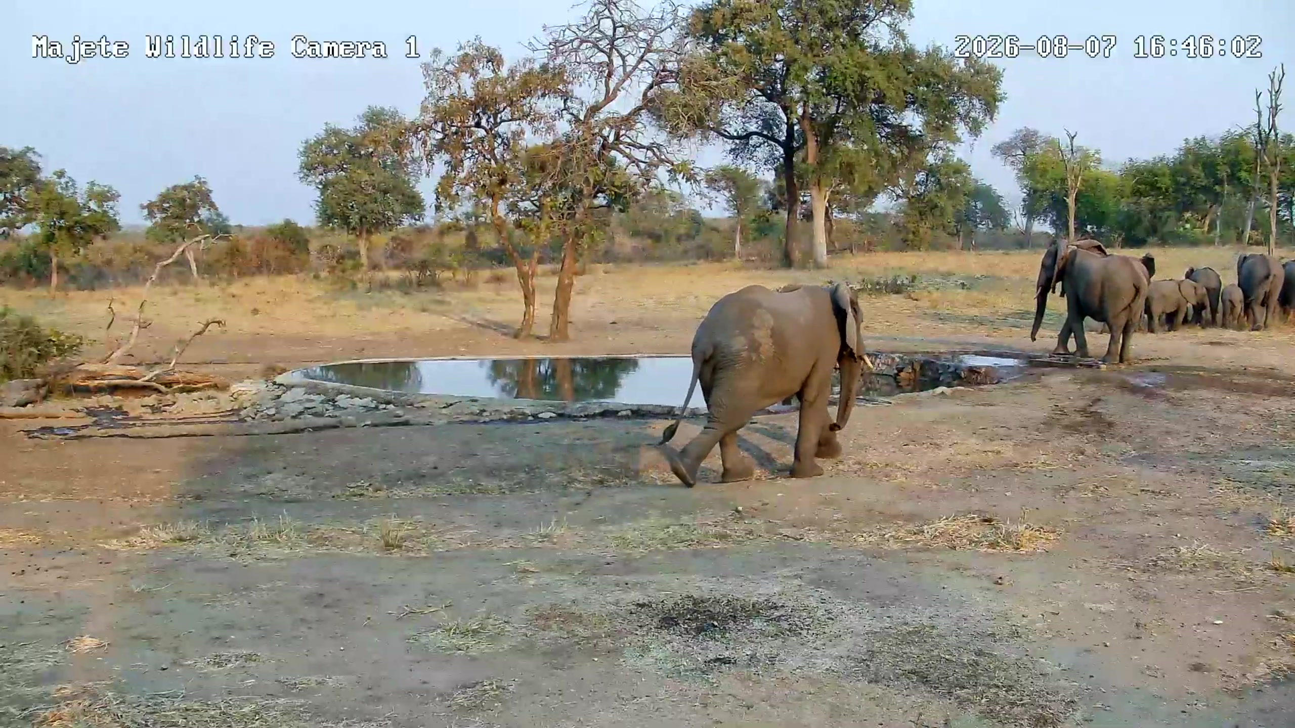 snapshot