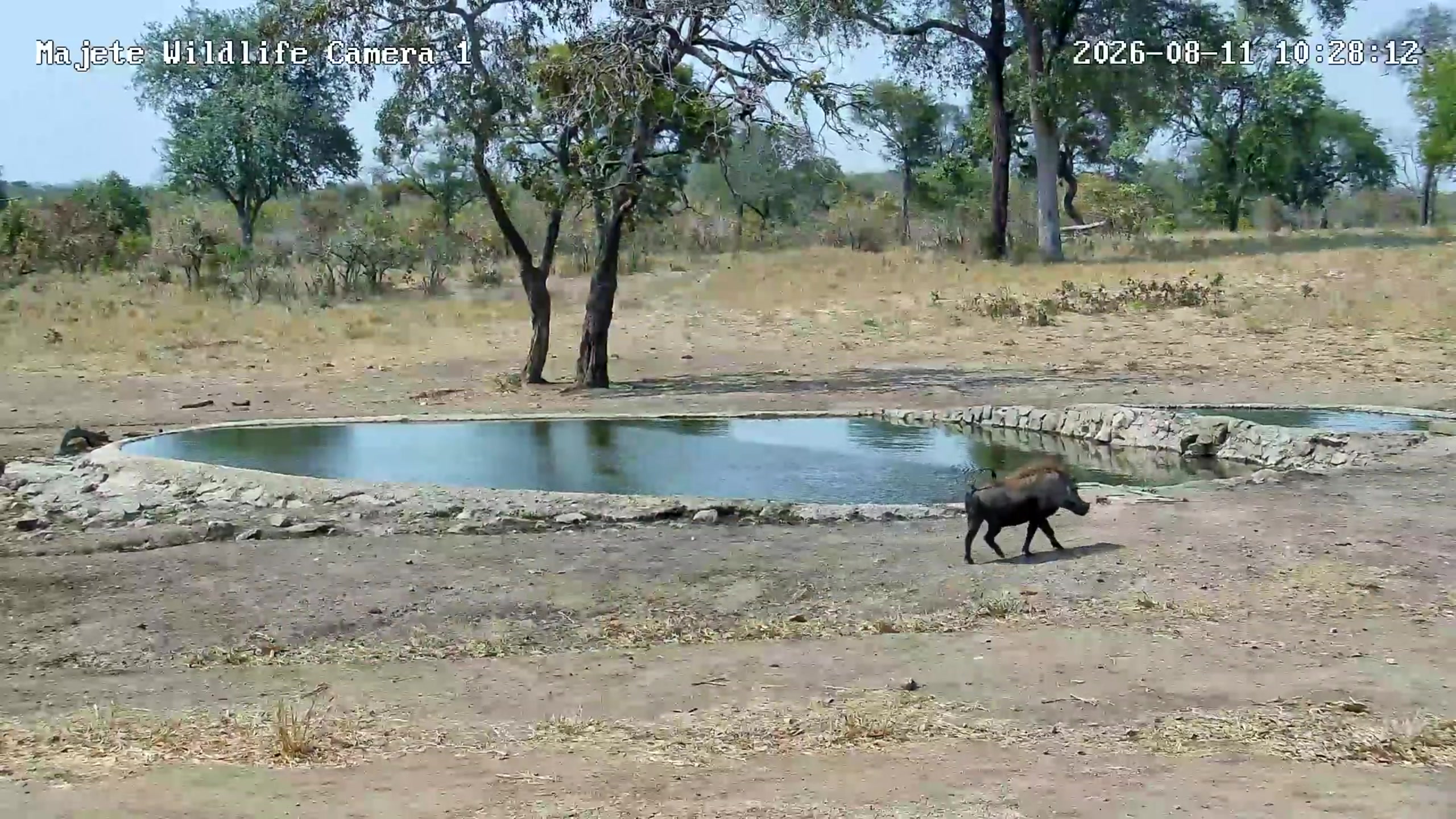 snapshot