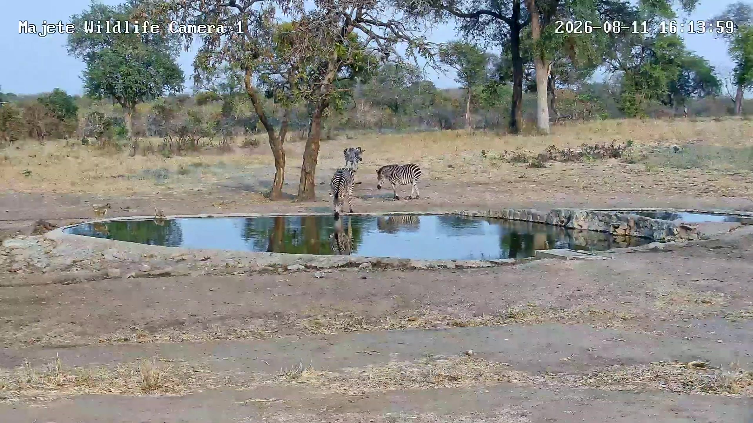 snapshot