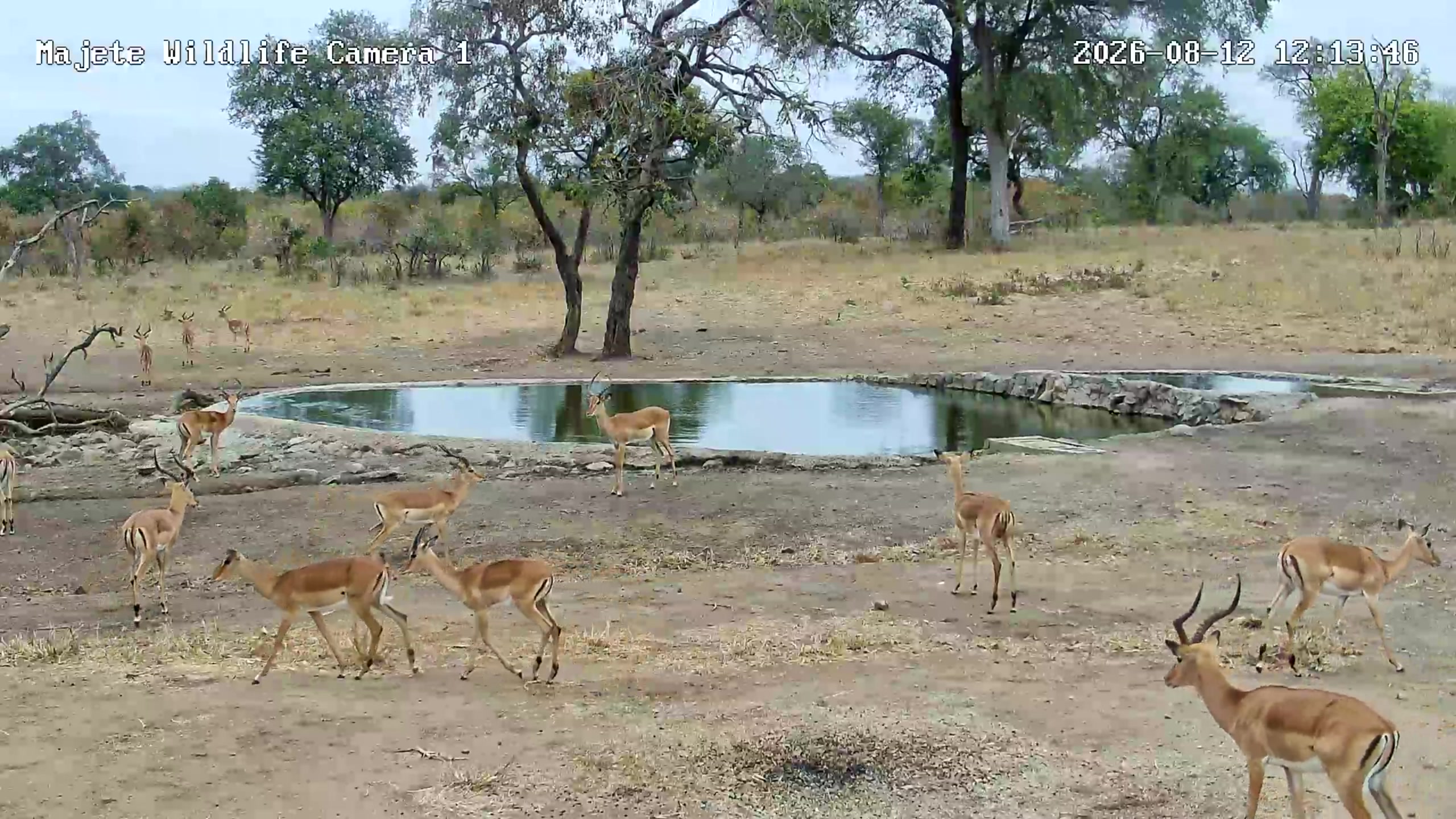 snapshot