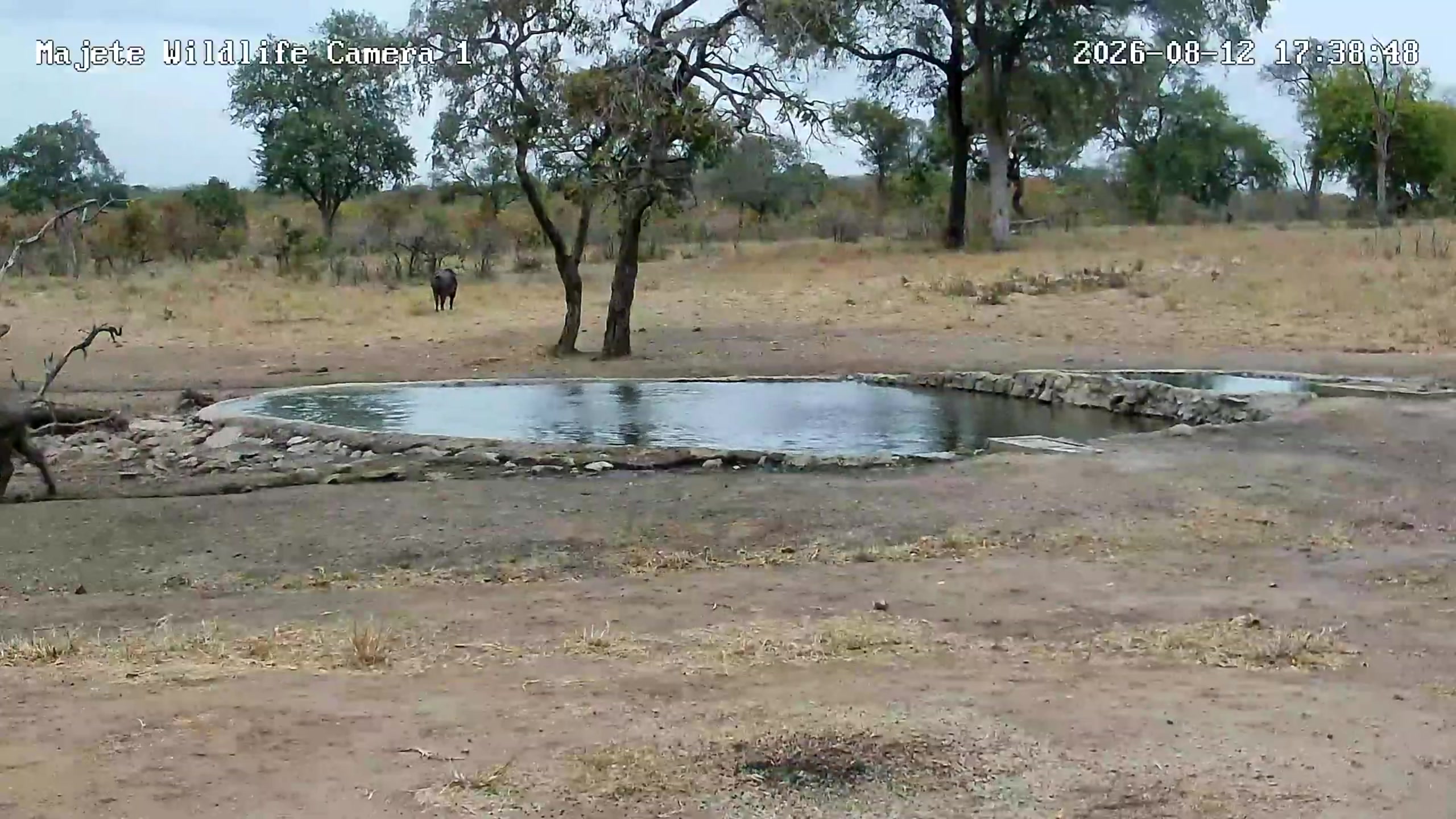 snapshot