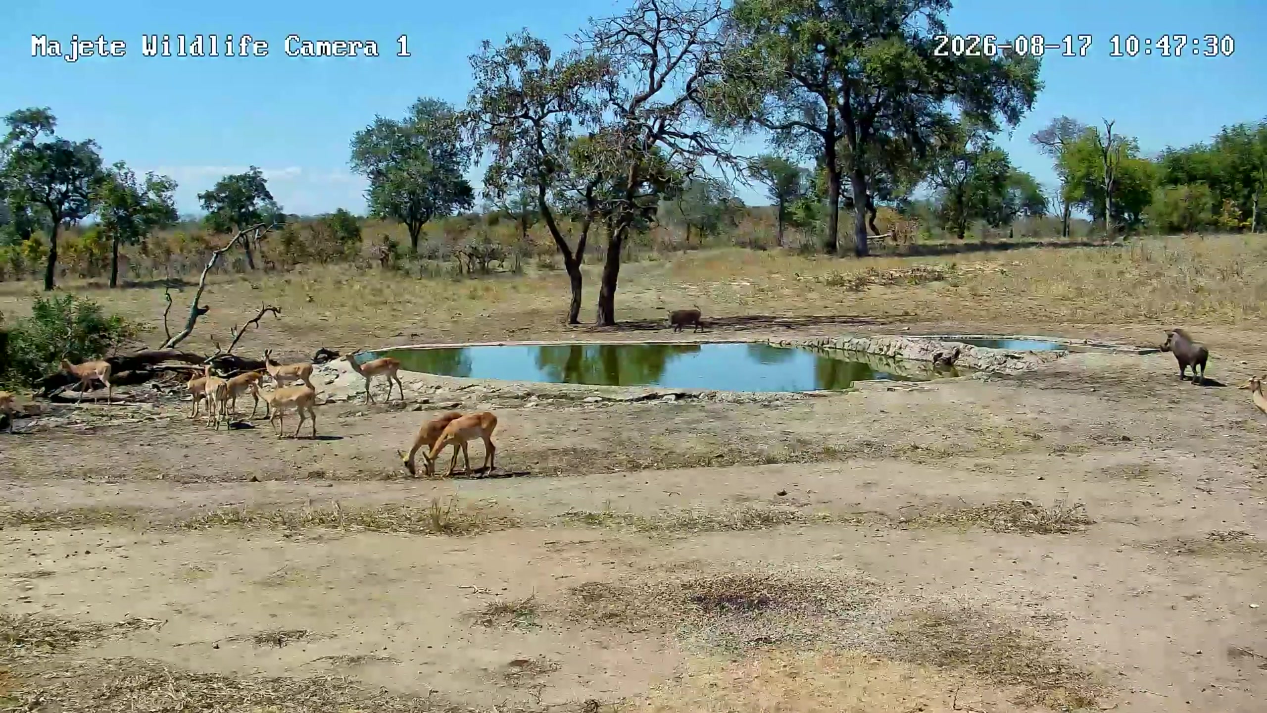 snapshot