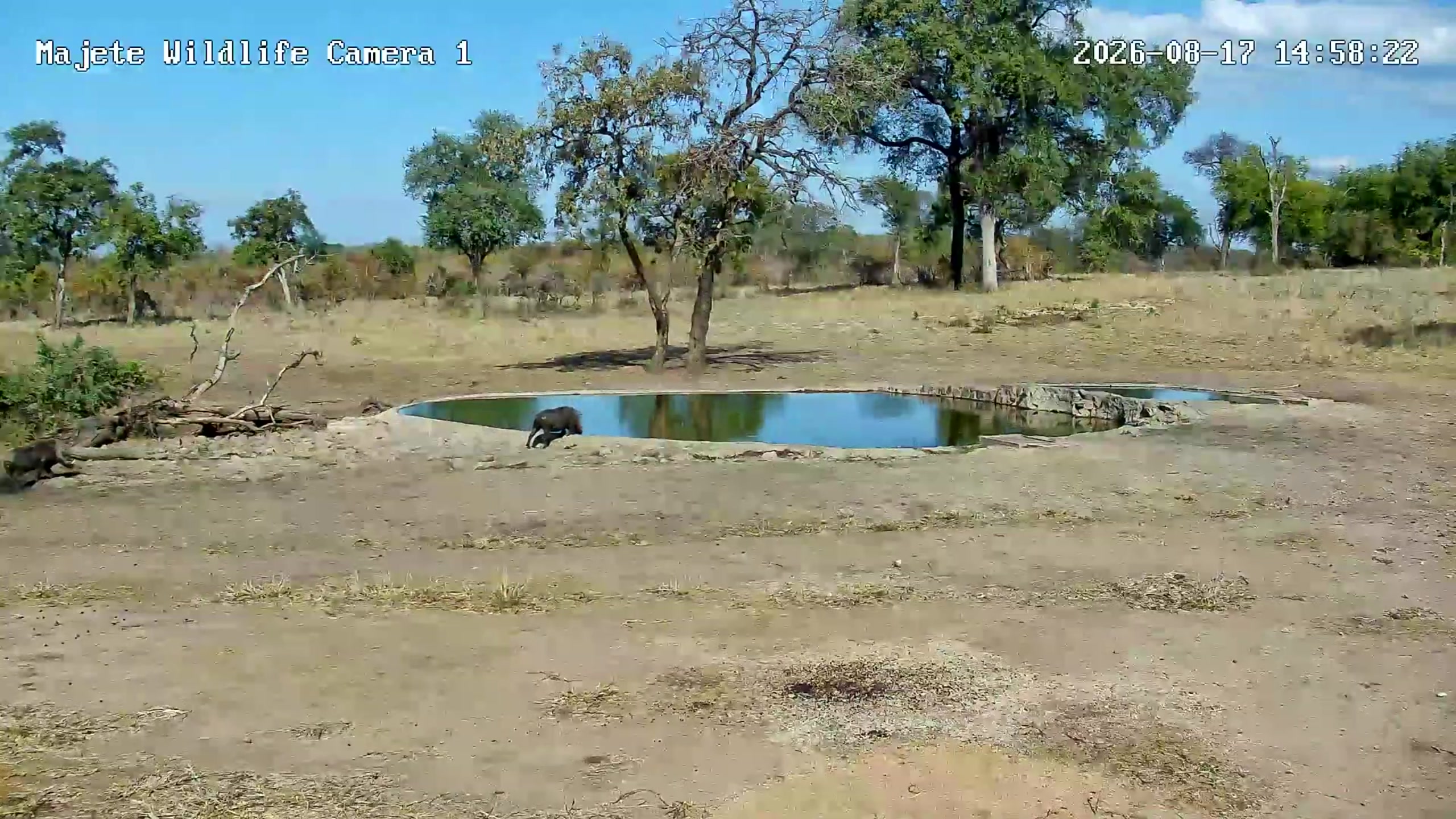 snapshot