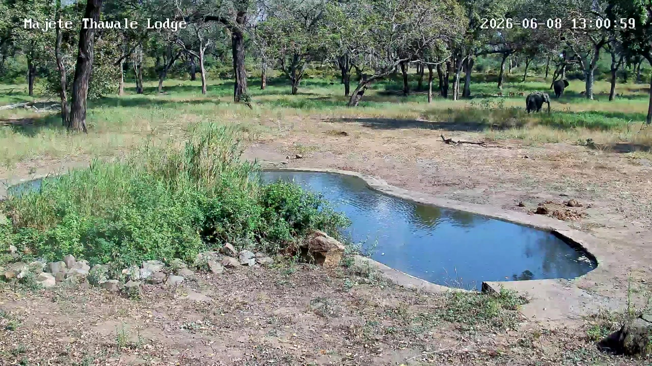 snapshot